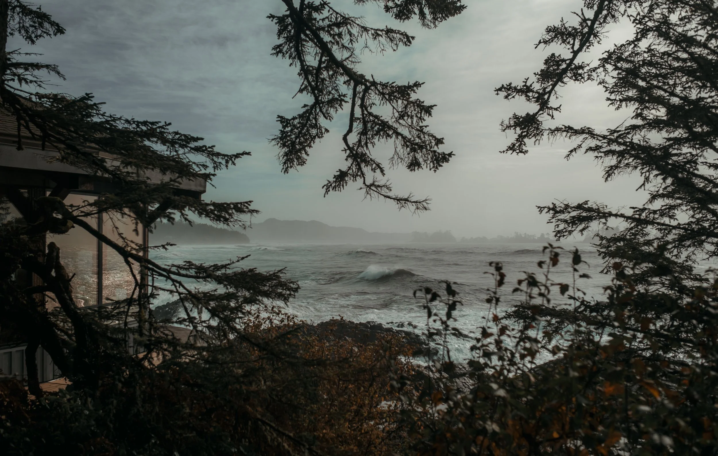 BC Wedding Photographer and Videographer, Chesterman beach wedding photos,  Jen + Brian Photo & Film, 030.JPG (Copy) (Copy)