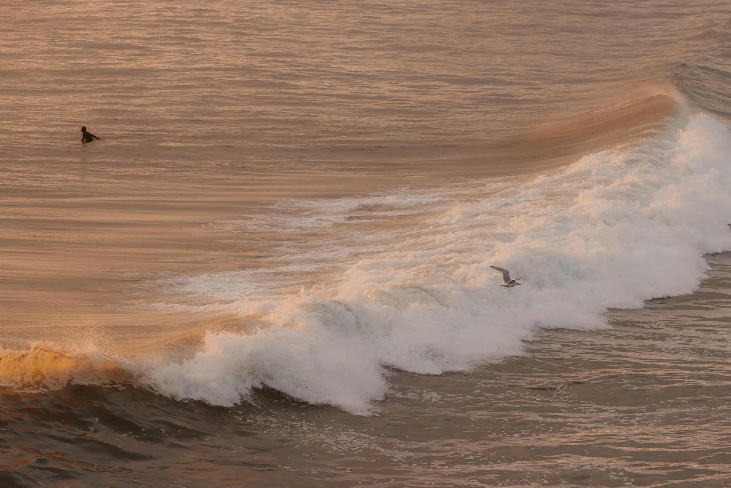 Pettinger Point Wedding Photos, Best Tofino Locations to get married, Tofino Wedding Photographer, Jen + Brian Photo & Film, 551.JPG (Copy) (Copy)