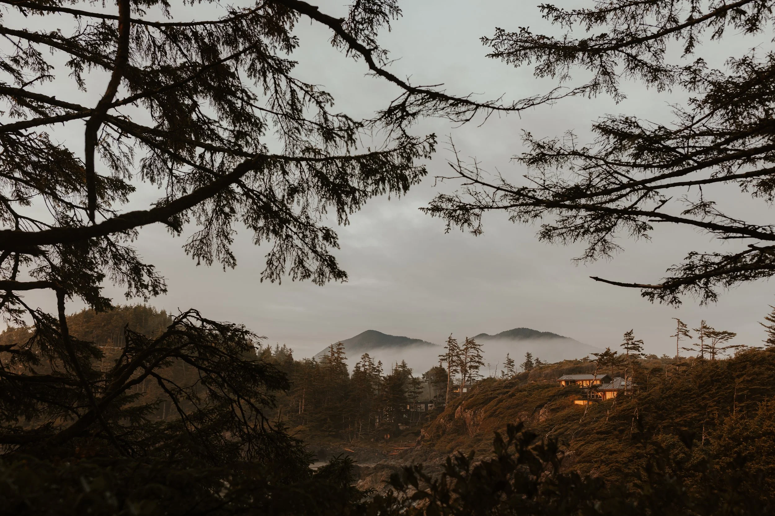 Pettinger Point Wedding Photos, Best Tofino Locations to get married, Tofino Wedding Photographer, Jen + Brian Photo & Film, 558.JPG (Copy) (Copy)