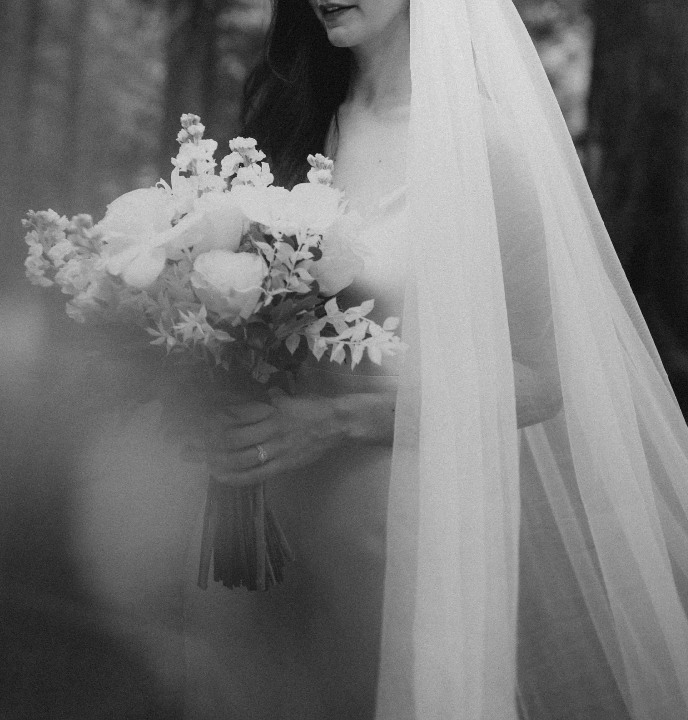 Sunshine-Coast-Elopement-Photos-Jen-Brian-Photo-Film%2C+151+.png (Copy) (Copy)