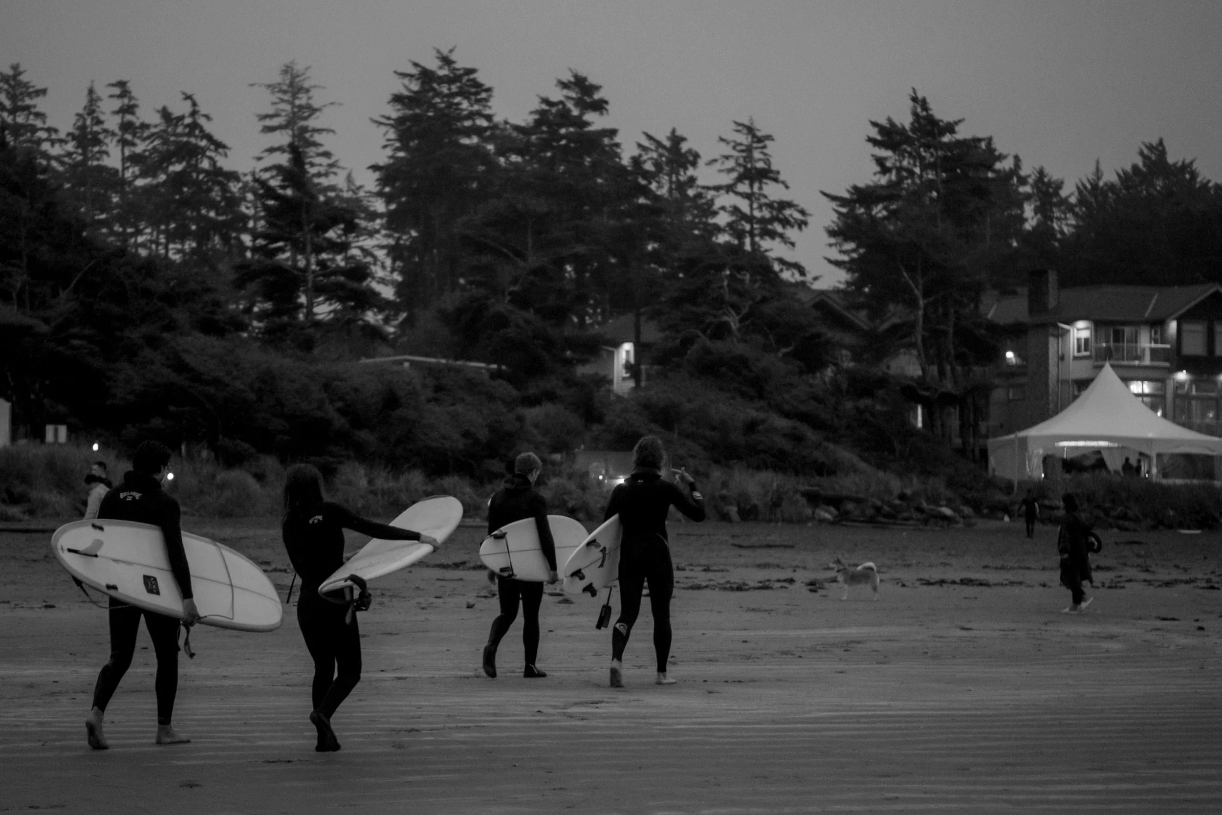 Elope-in-Tofino-BC-Elopement-Photographer-Jen-Brian-Photo-Film%2C+1051+.png