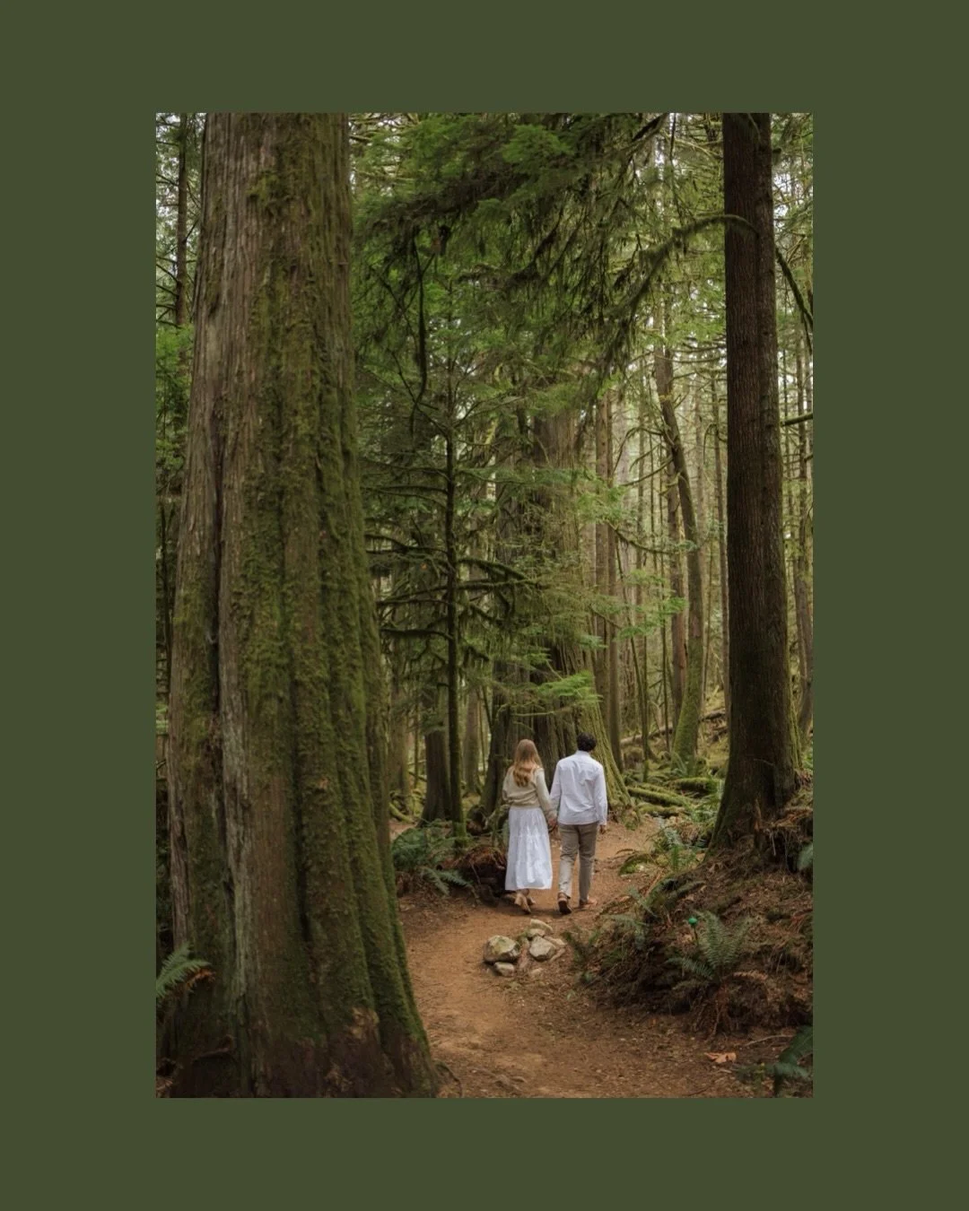 A beautiful Sunshine Coast evening with Emily &amp; Matthew exploring the mossy rainforest, soaking in the ocean and inlet views and playing in the ocean with all three locations all to ourselves. 

Brian and I loved getting to know E &amp; M and see