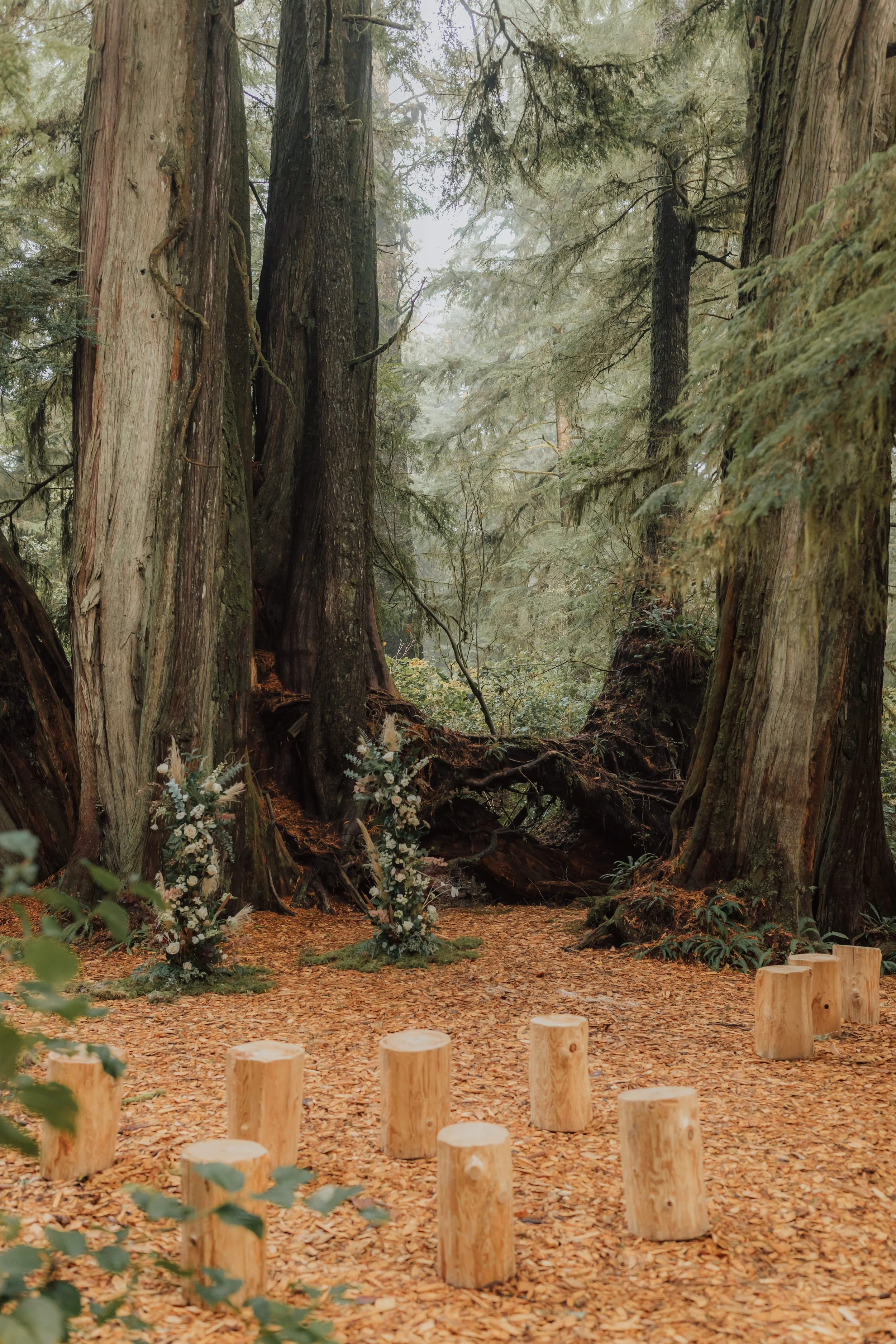 Wickaninnish Inn Wedding_ Tofino Wedding Photographer_ Jen + Brian Photo & Film_ 274.jpg