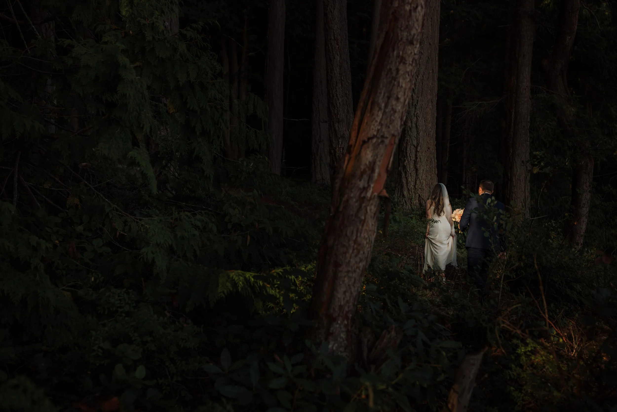 Golden Hour Beach and Cliffside Sunshine Coast Elopement, Sunshine Coast Elopement Packages, Jen & Brian, 2104.JPG
