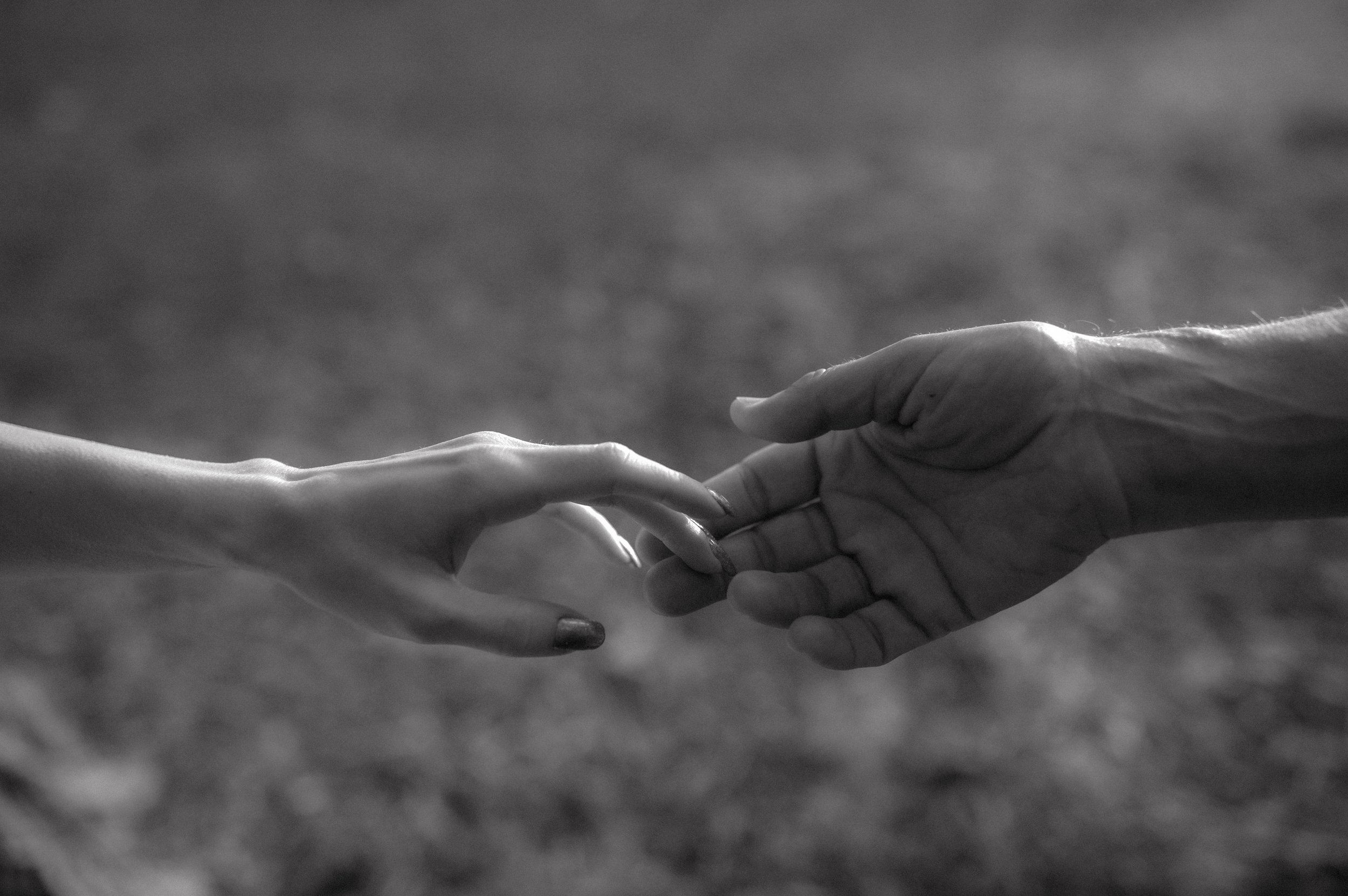 Golden Hour Engagement Photos in the Sechelt Inlet, Sunshine Coast Wedding Photographer, Jen & Brian 268.JPG