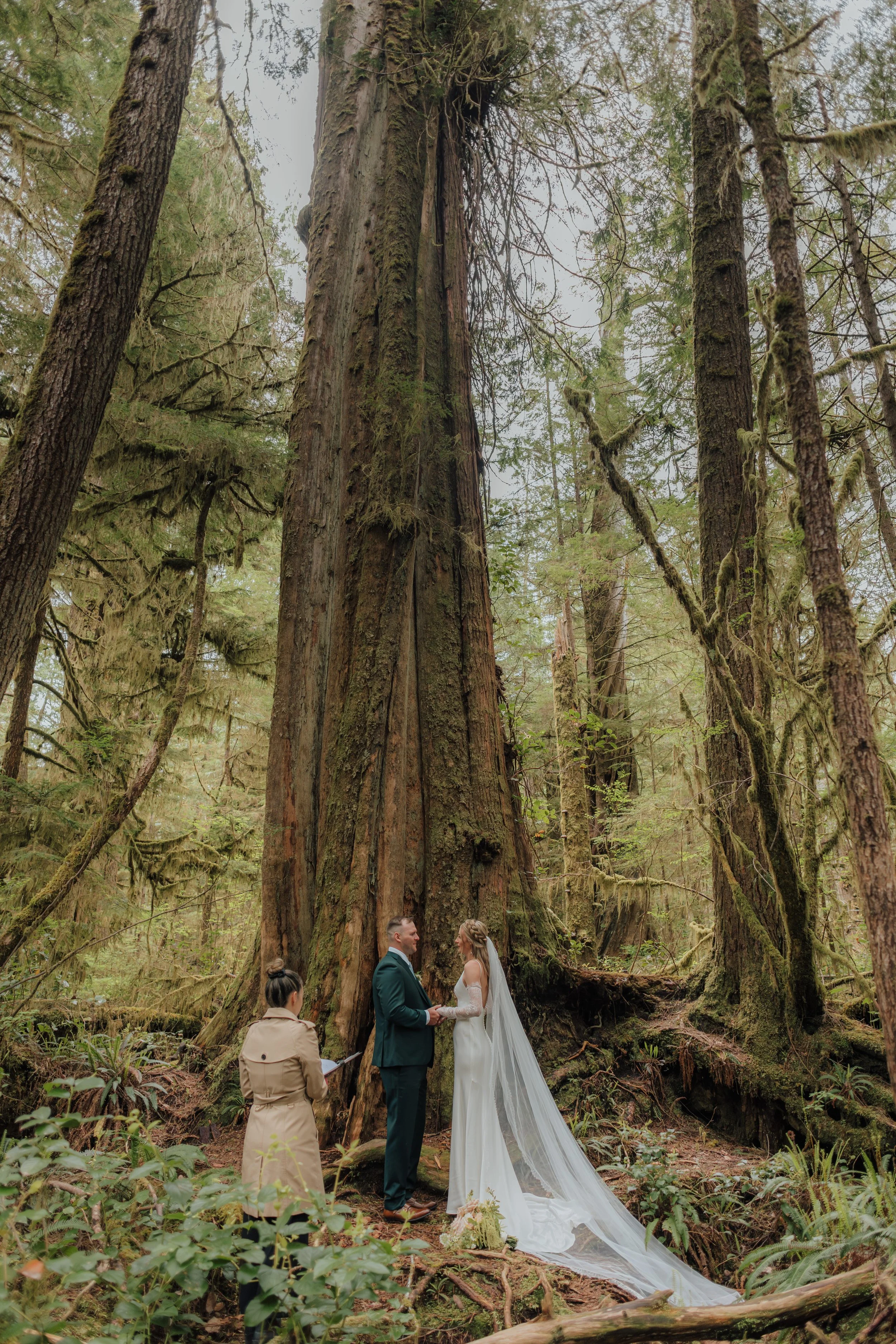 Pacific Rim National Park Rainforest Elopement, Tofino Wedding Photographer, Jen & Brian, 1081.JPG