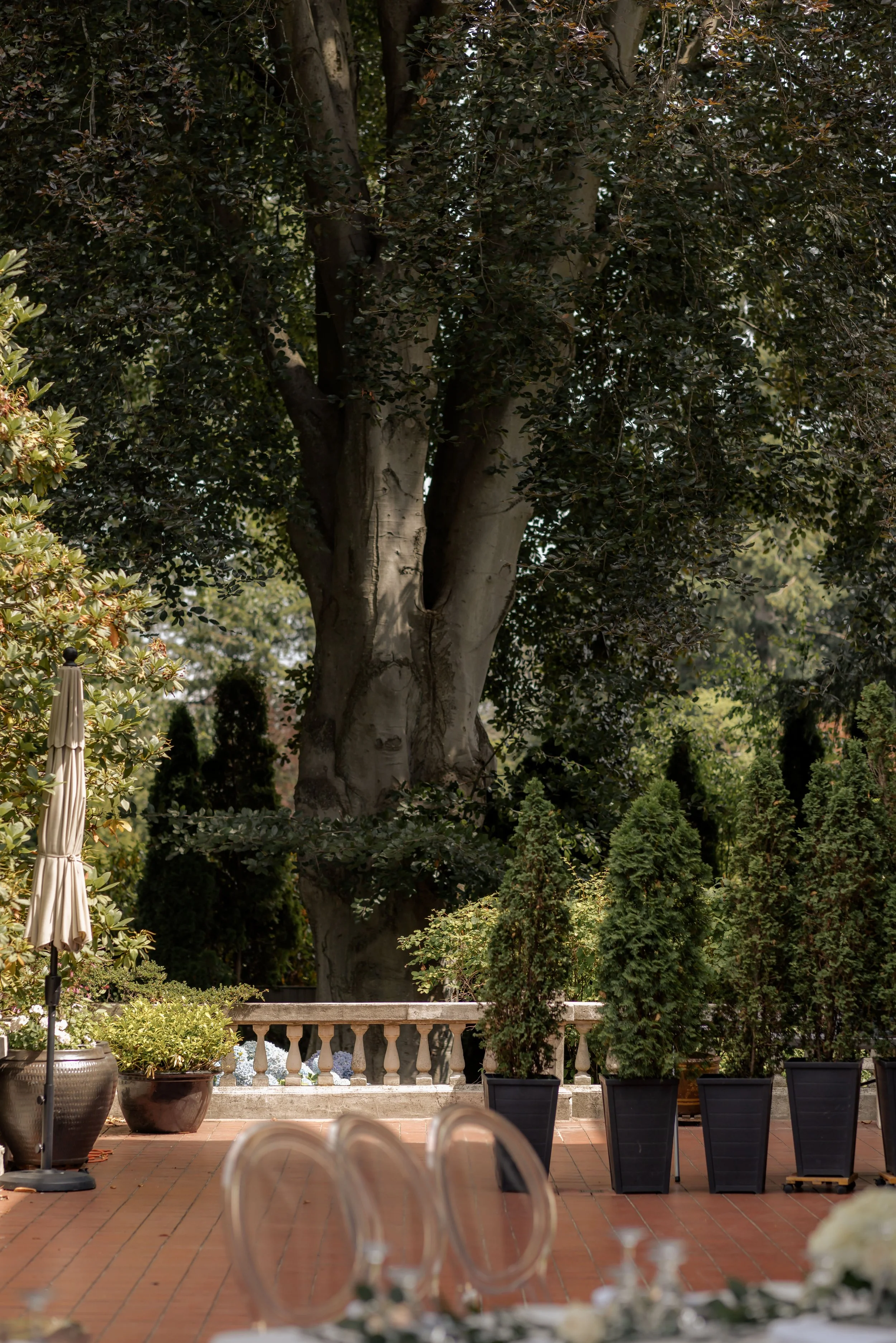 Hycroft Mansion Wedding, BC Elopement Photographer, Jen & Brian, 512.JPG