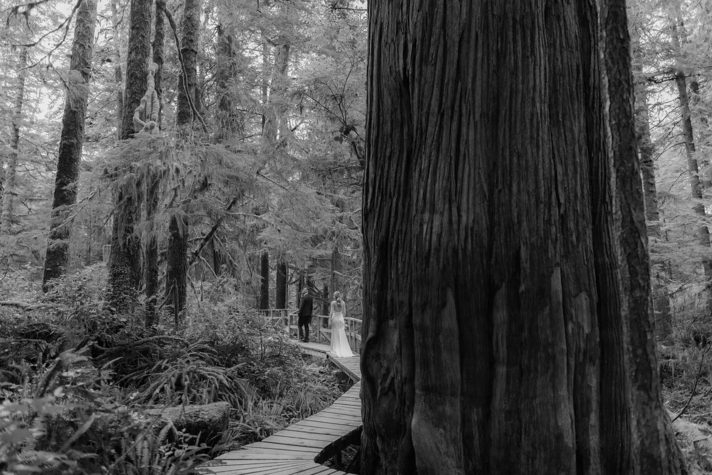 Helicopter Tofino Elopement, Tofino Wedding Photographer, Jen & Brian, 1255.JPG