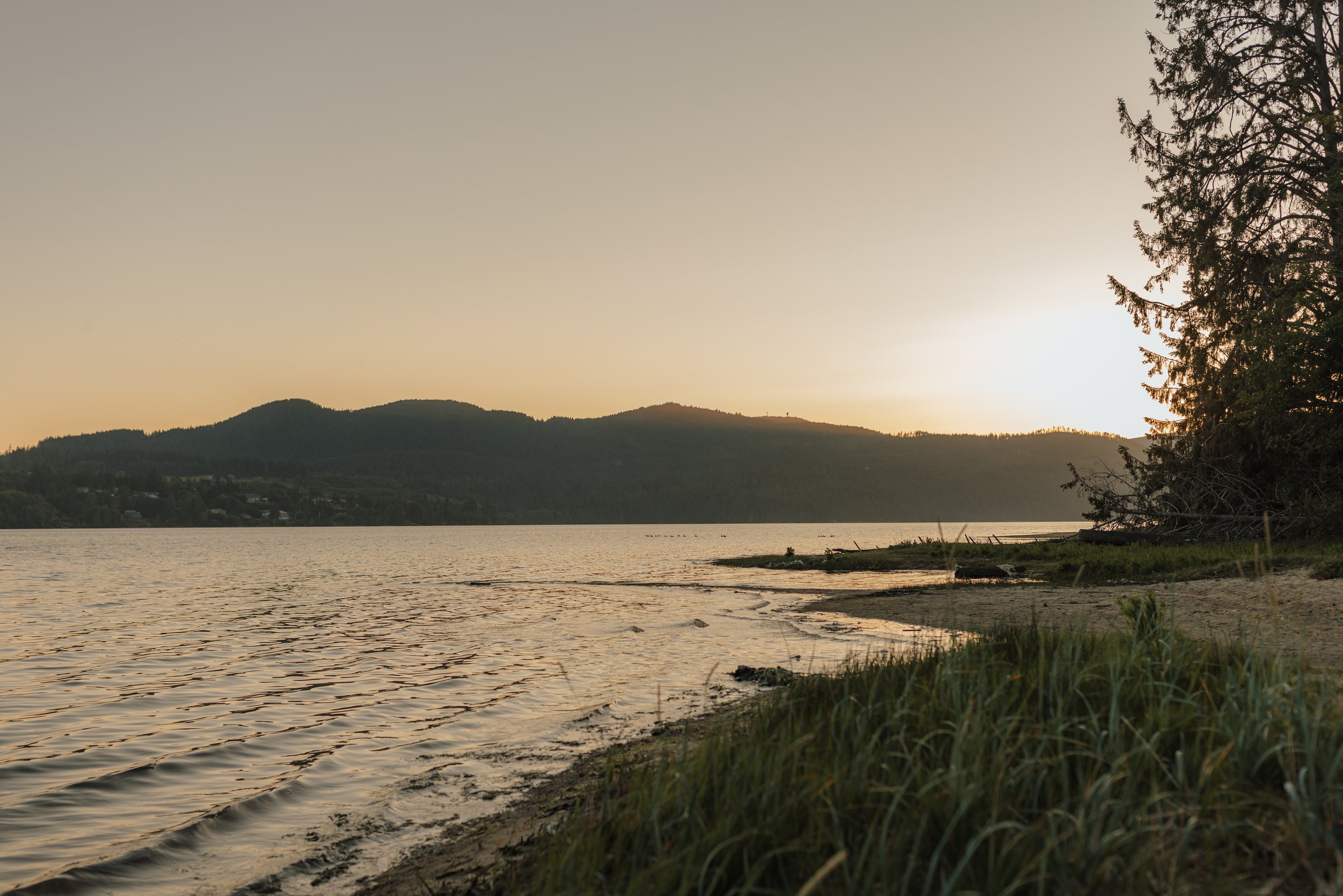 Sunshine Coast Elopement at Stay Wilder, Sunshine Coast Wedding Photographer, Jen & Brian, 211.JPG