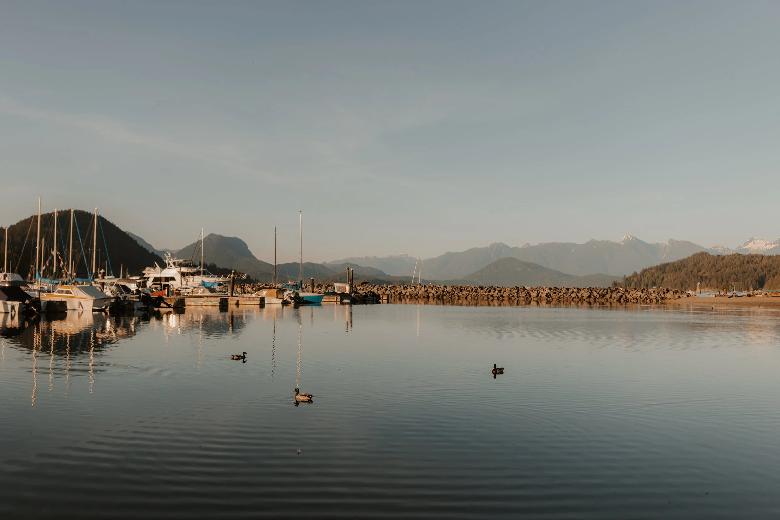 Sunshine Coast Proposal Photographer, Sunshine Coast Wedding Photographer,  Jen & Brian Photo & Film 512.JPG