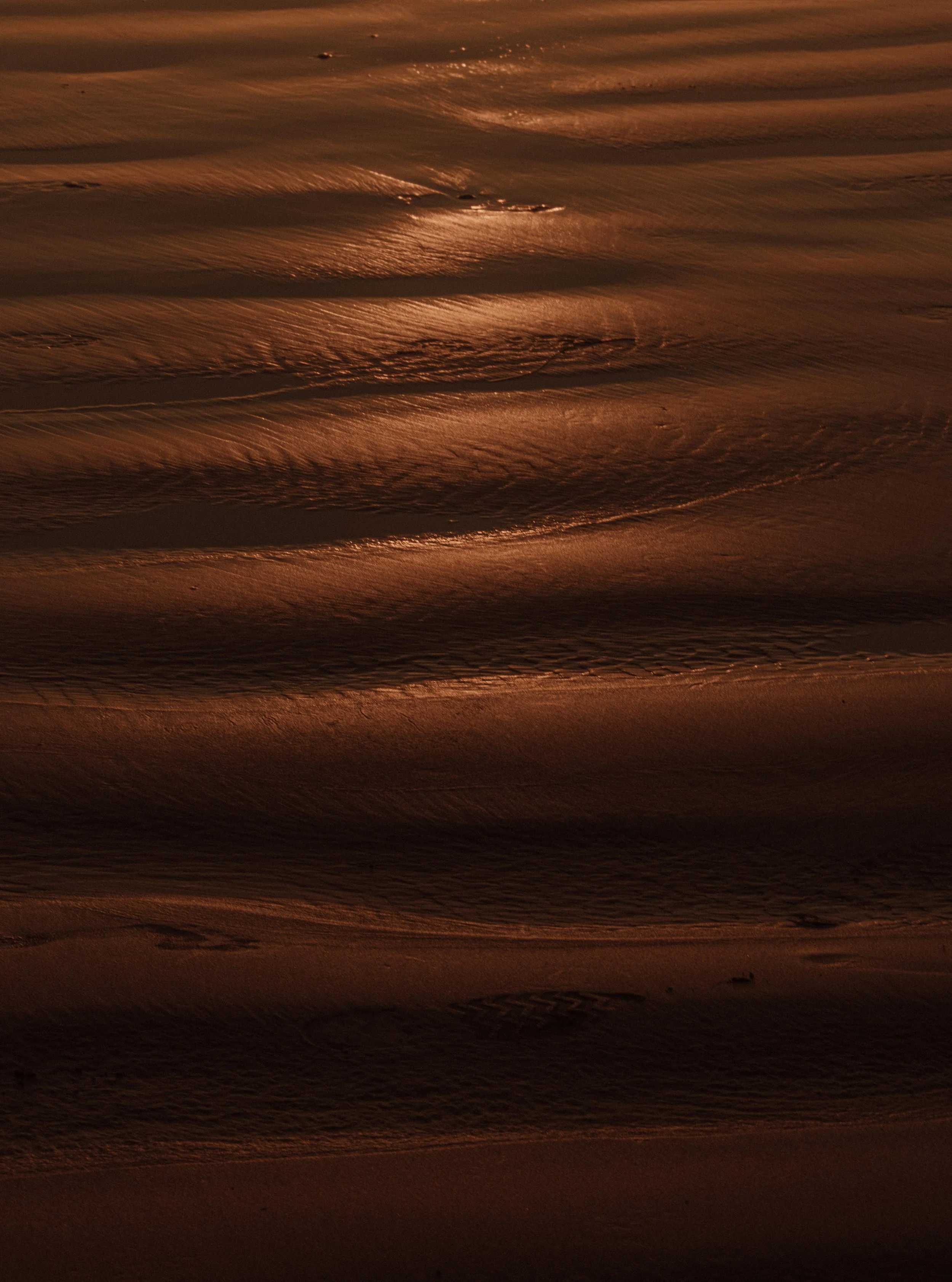 Close-up of wet reflective sand with ripples and tracks on a sunset beach, with a warm glow on the surface in Tofino, BC