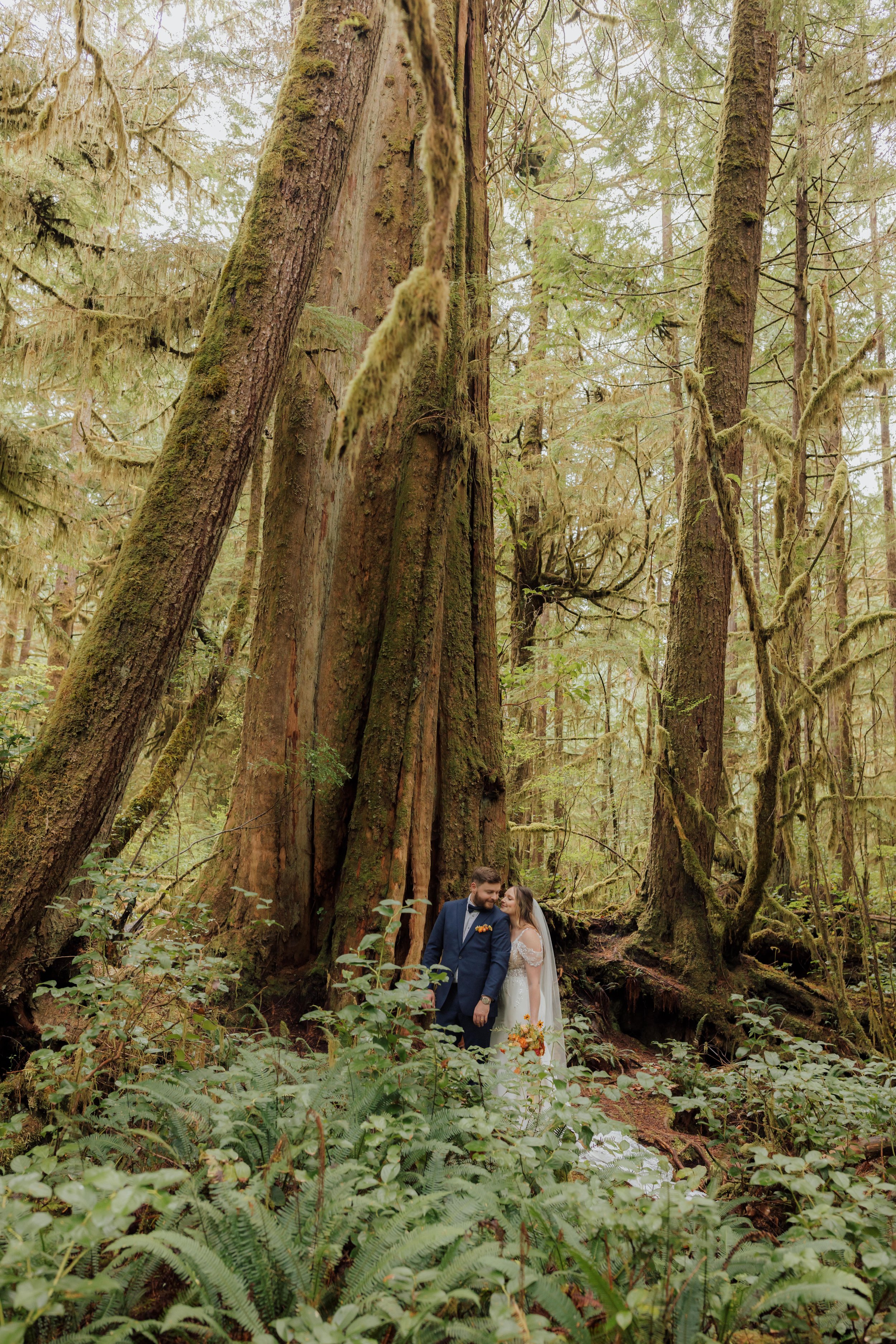 A bride and groom standing close together in a lush, green forest, surrounded by tall moss-covered trees and dense ferns, during their wedding.