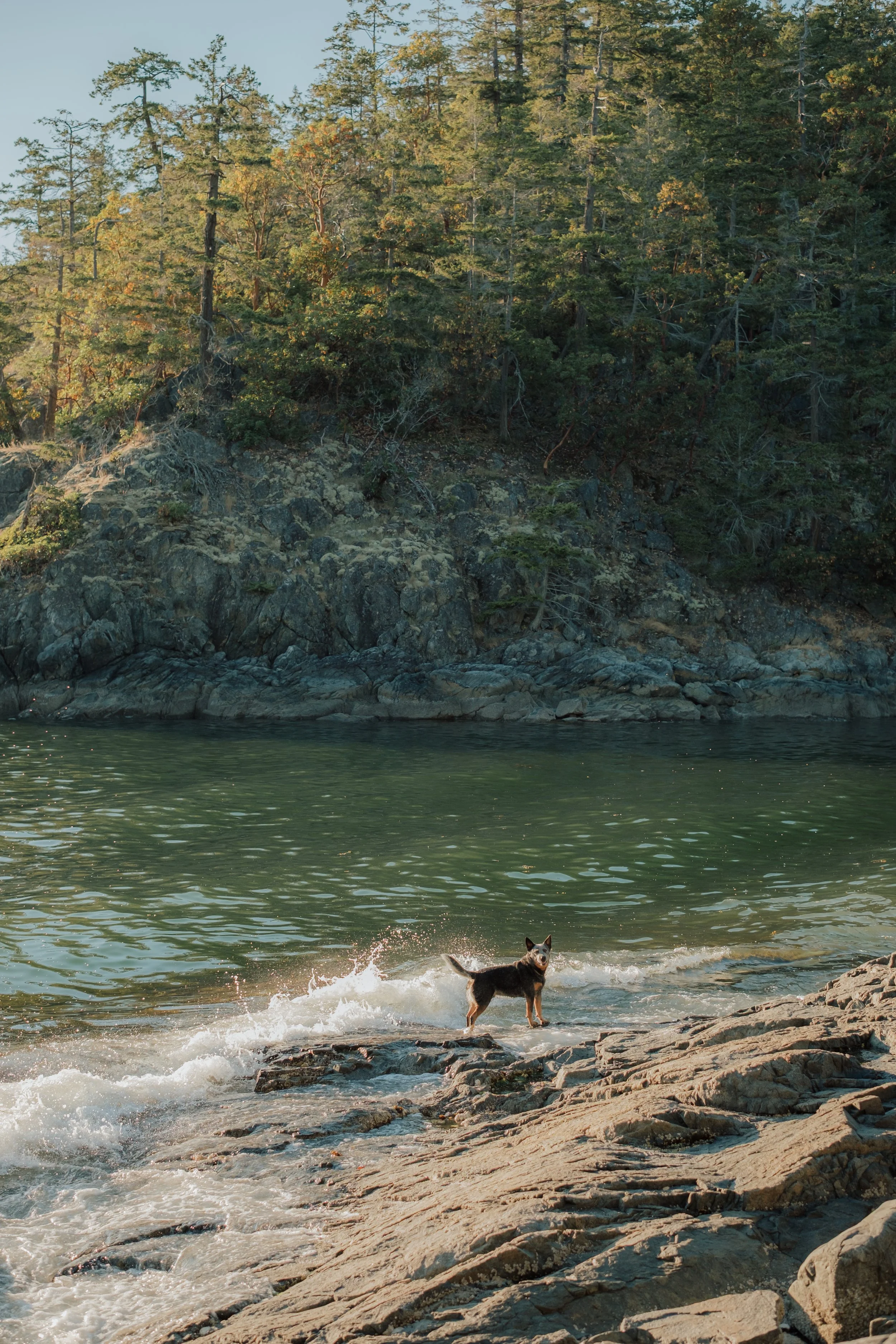 Emily & Andrew Engagement, Jen + Brian Photo & Film, 057.JPG