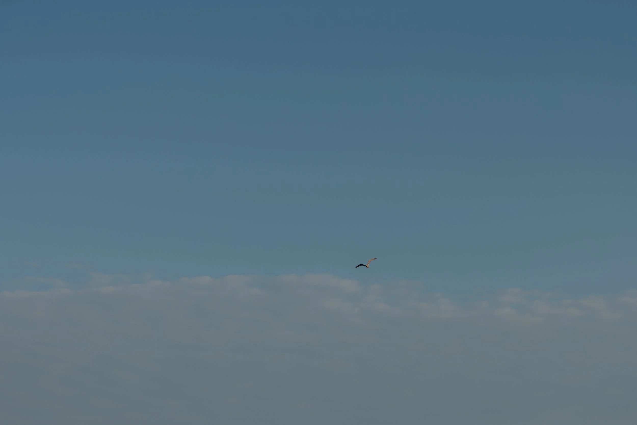 Sunshine Coast Engagement Photographer, Golden Hour Beach Engagement Photos Jen & Brian, 157.JPG