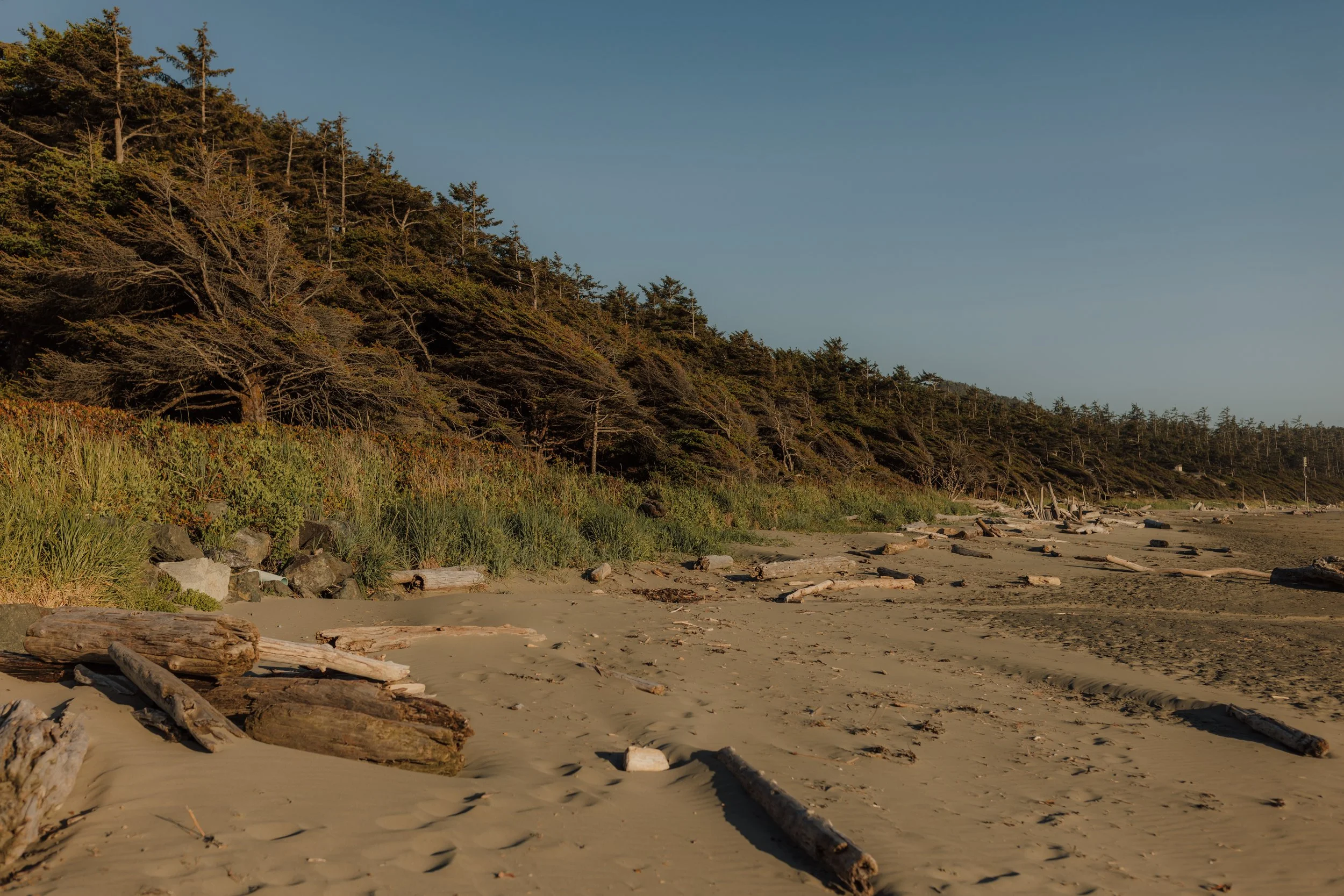 Cox Bay Beach and Pettinger Point Golden Hour Elopement, Tofino Wedding Photographer, Jen & Brian, 1595.JPG