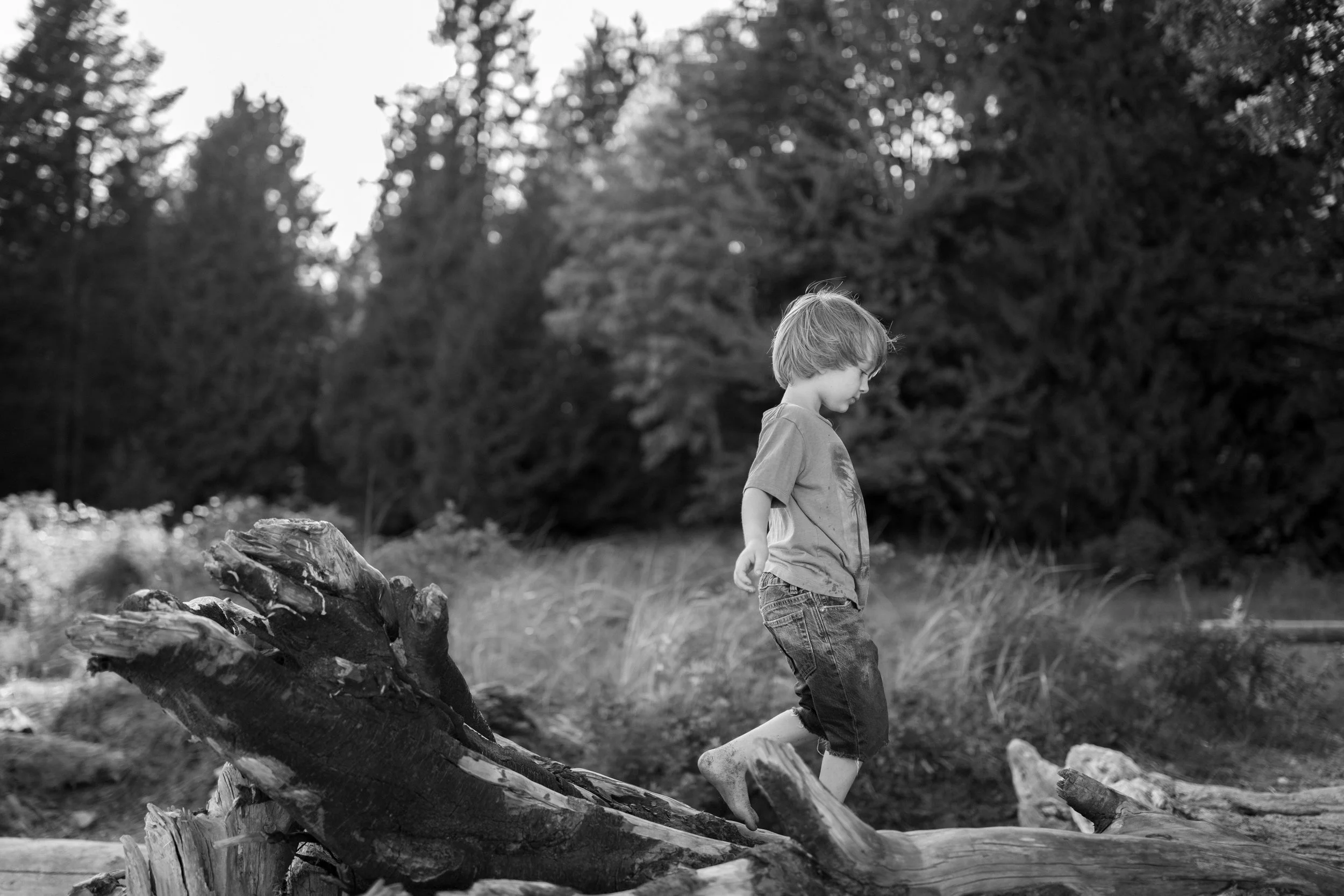 Sunshine Coast Family Photographer, Gibons Beach Family Photos in the Sechelt Inlet,  Jen & Brian Photo & Film 194.JPG
