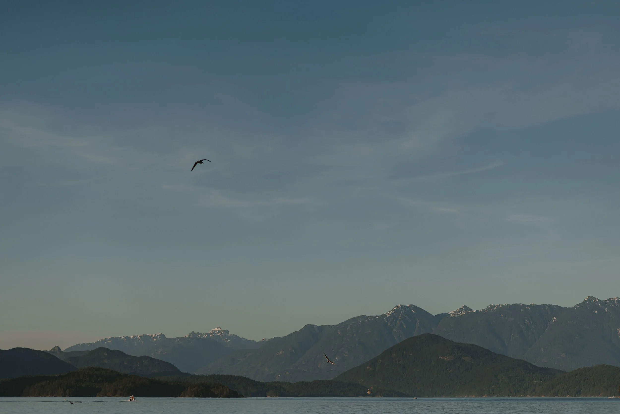 Sunshine Coast Proposal Photographer, Sunshine Coast Wedding Photographer,  Jen & Brian Photo & Film 522.JPG