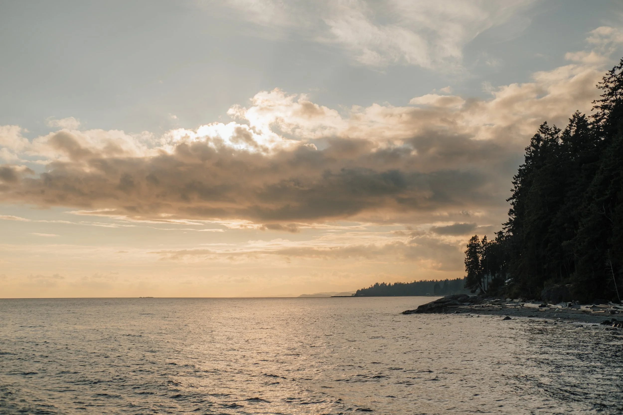 Golden Hour Beach and Cliffside Sunshine Coast Elopement, Sunshine Coast Elopement Packages, Jen & Brian, 2199.JPG
