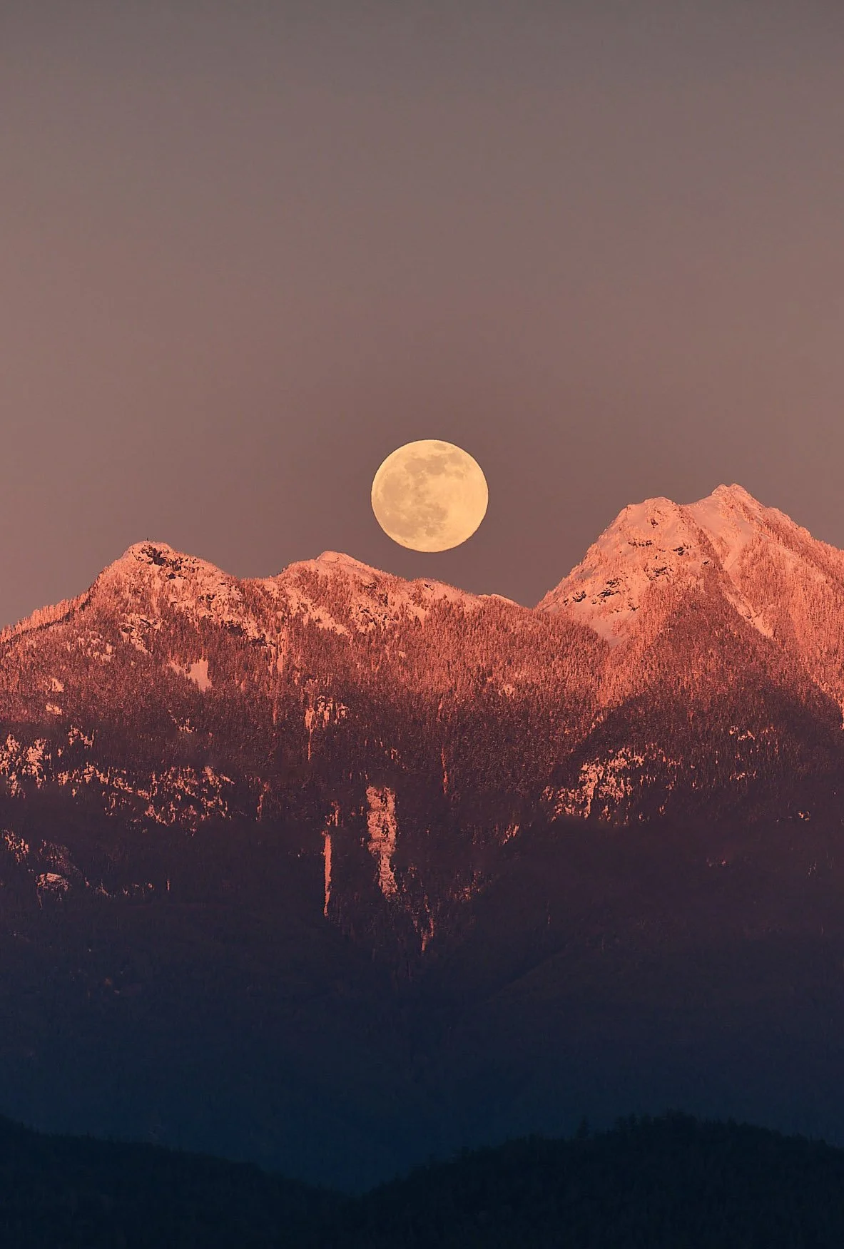 A full moon over snow-capped north shore mountain peaks during dusk with a pinkish glow taken from Gibsons