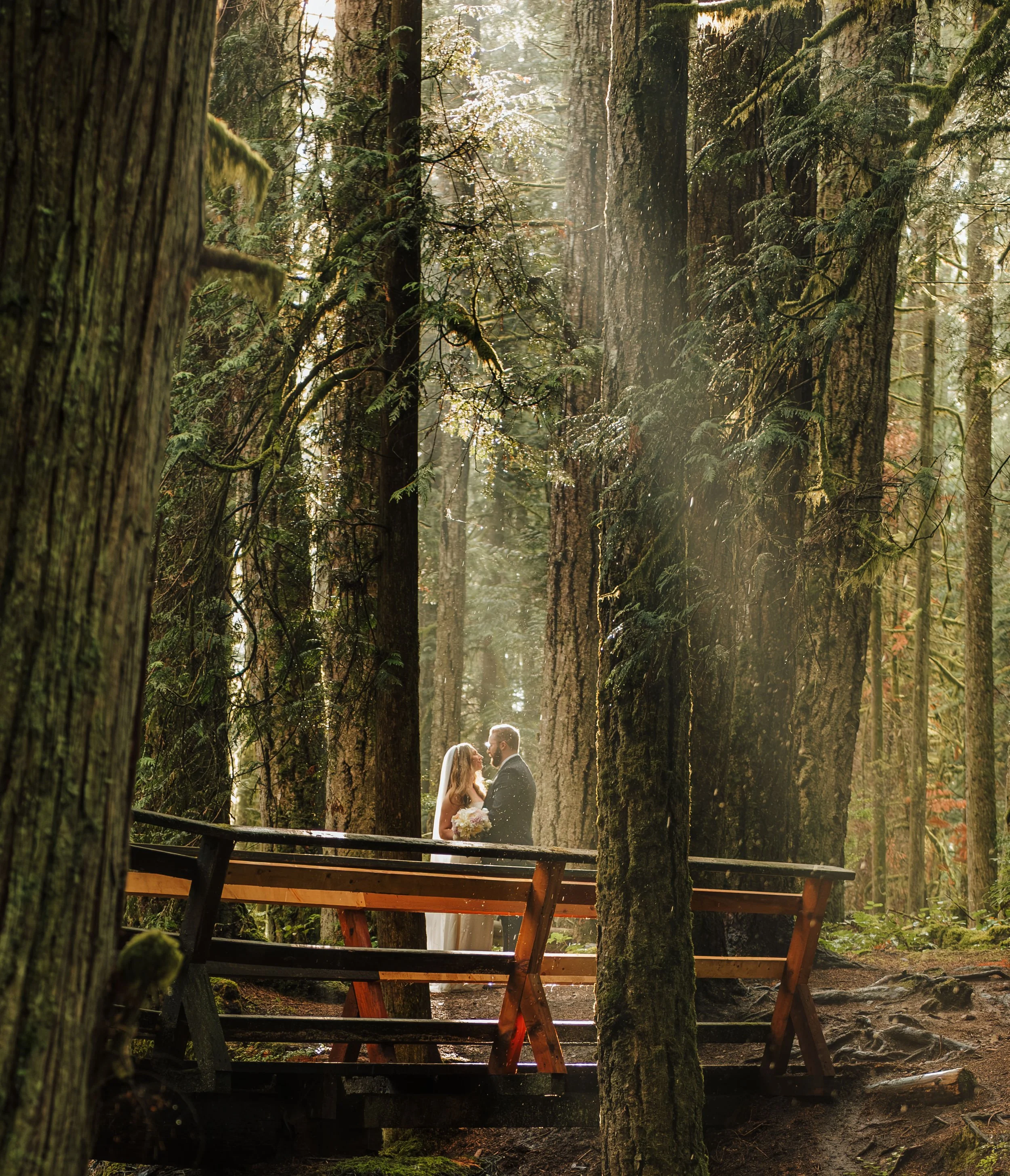 Sechelt Rain Forest Elopement, Sunshine Coast Elopement Packages, Jen & Brian, 2043.JPG