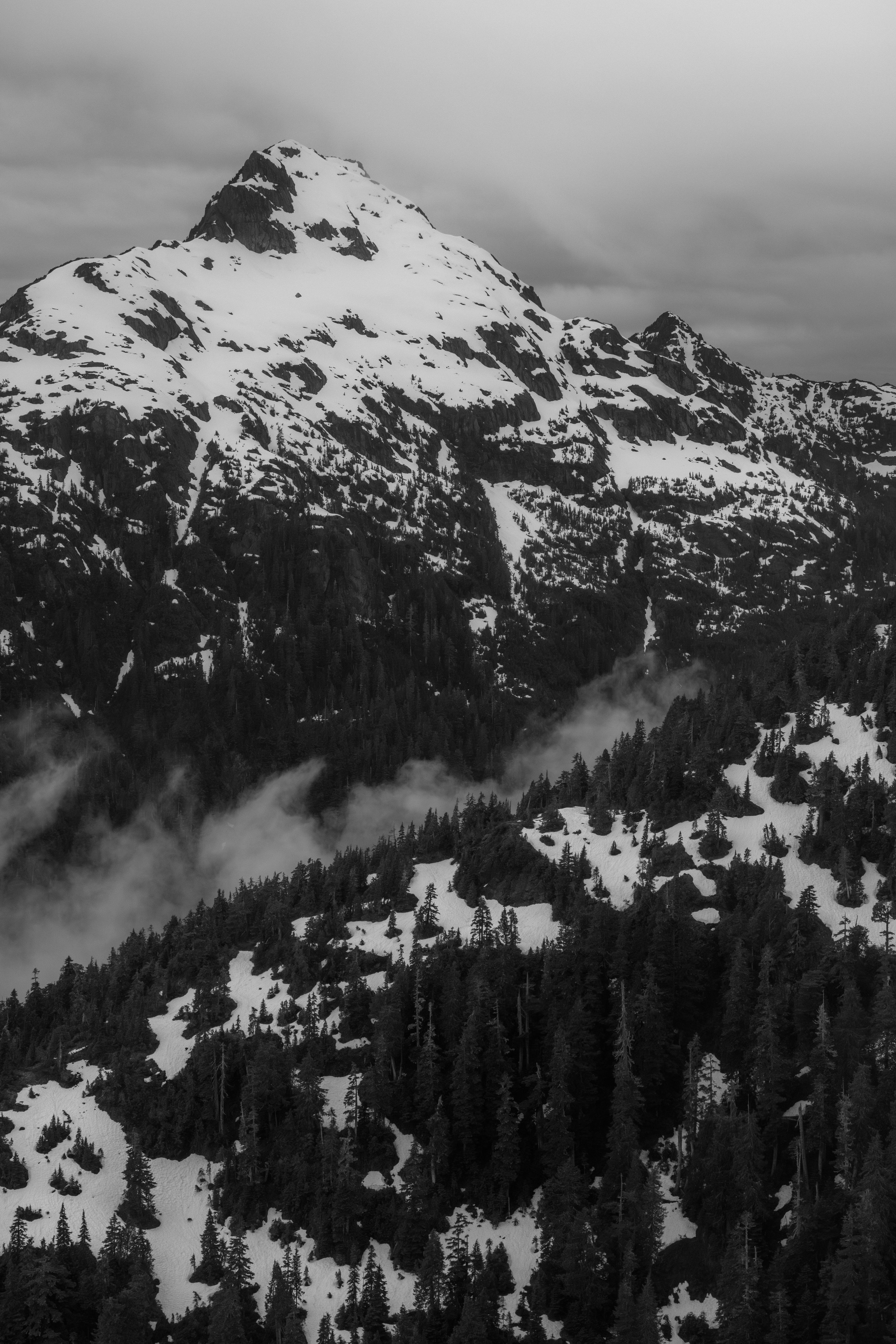 Snow-covered mountain peak with forested slopes and mist at lower elevations, under a cloudy sky.