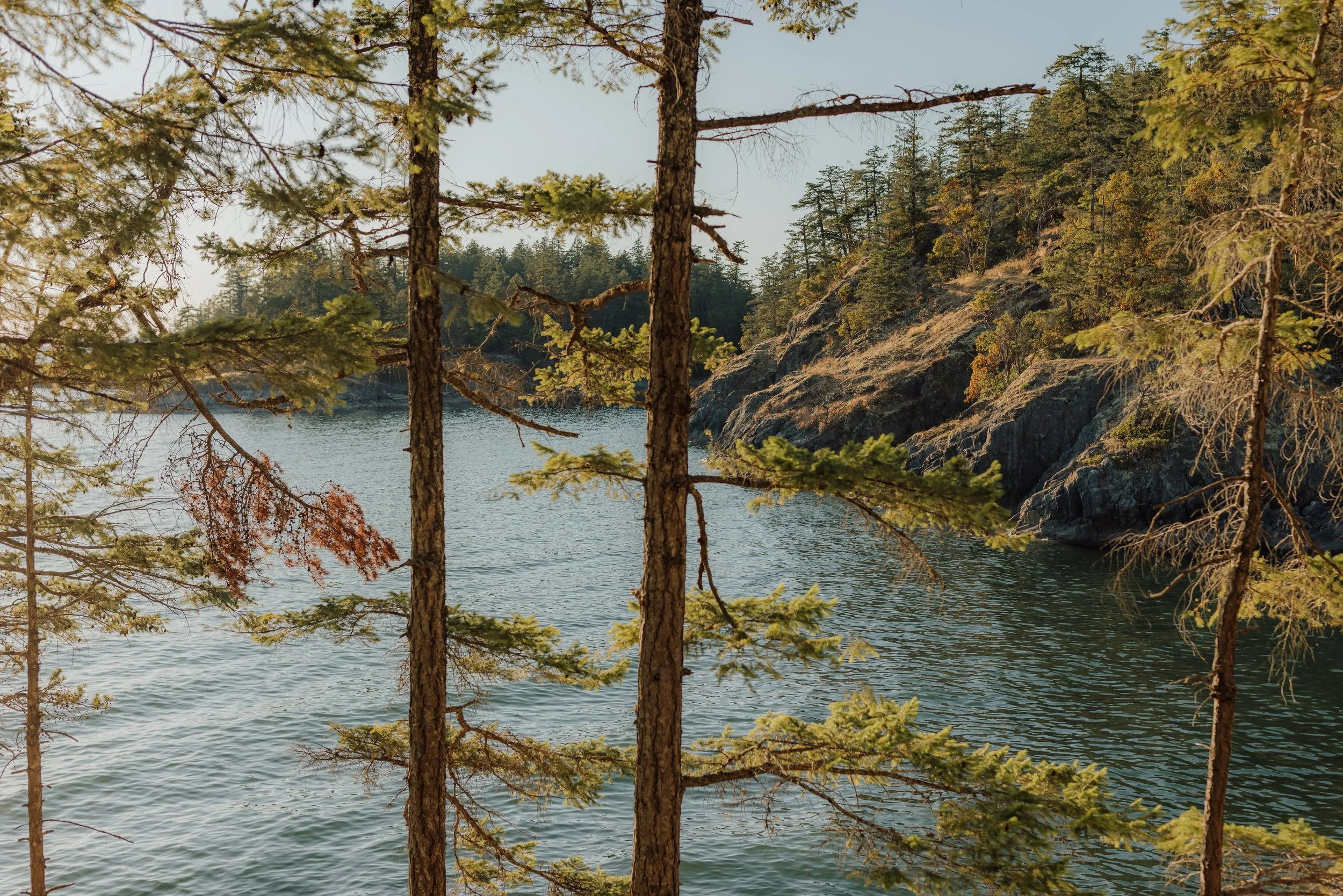 Emily & Andrew Engagement, Jen + Brian Photo & Film, 073.JPG