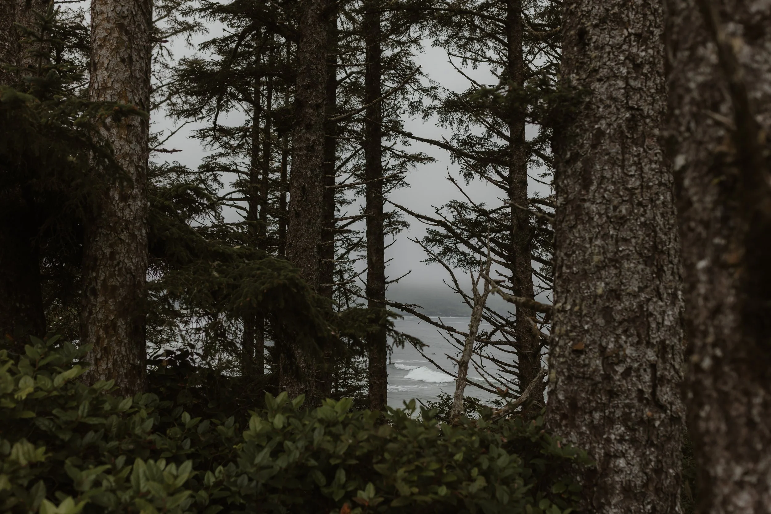 Tofino Elopement Photographer, Pettinger Point Wedding Photos, 199.JPG