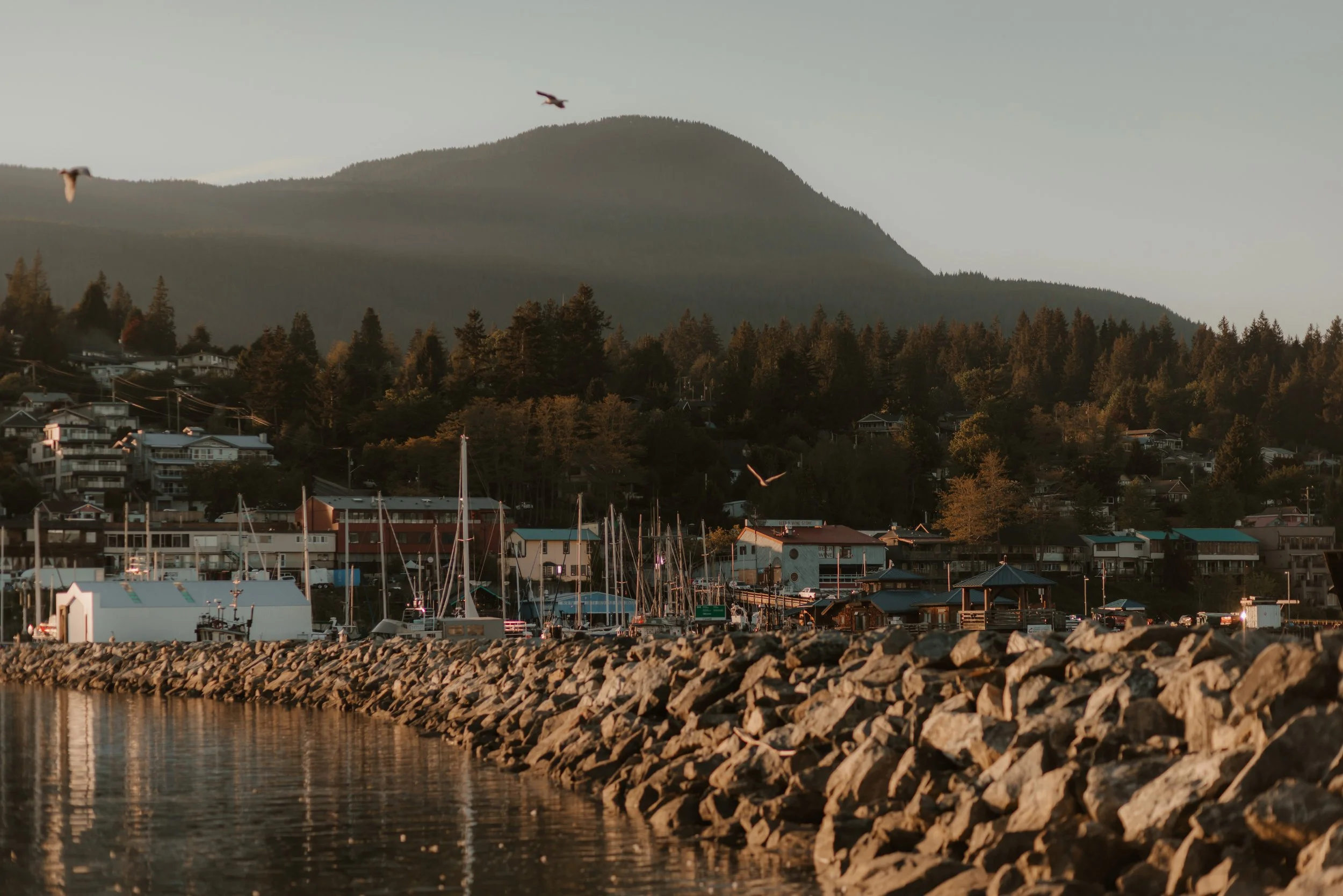 Sunshine Coast Proposal Photographer, Sunshine Coast Wedding Photographer,  Jen & Brian Photo & Film 521.JPG