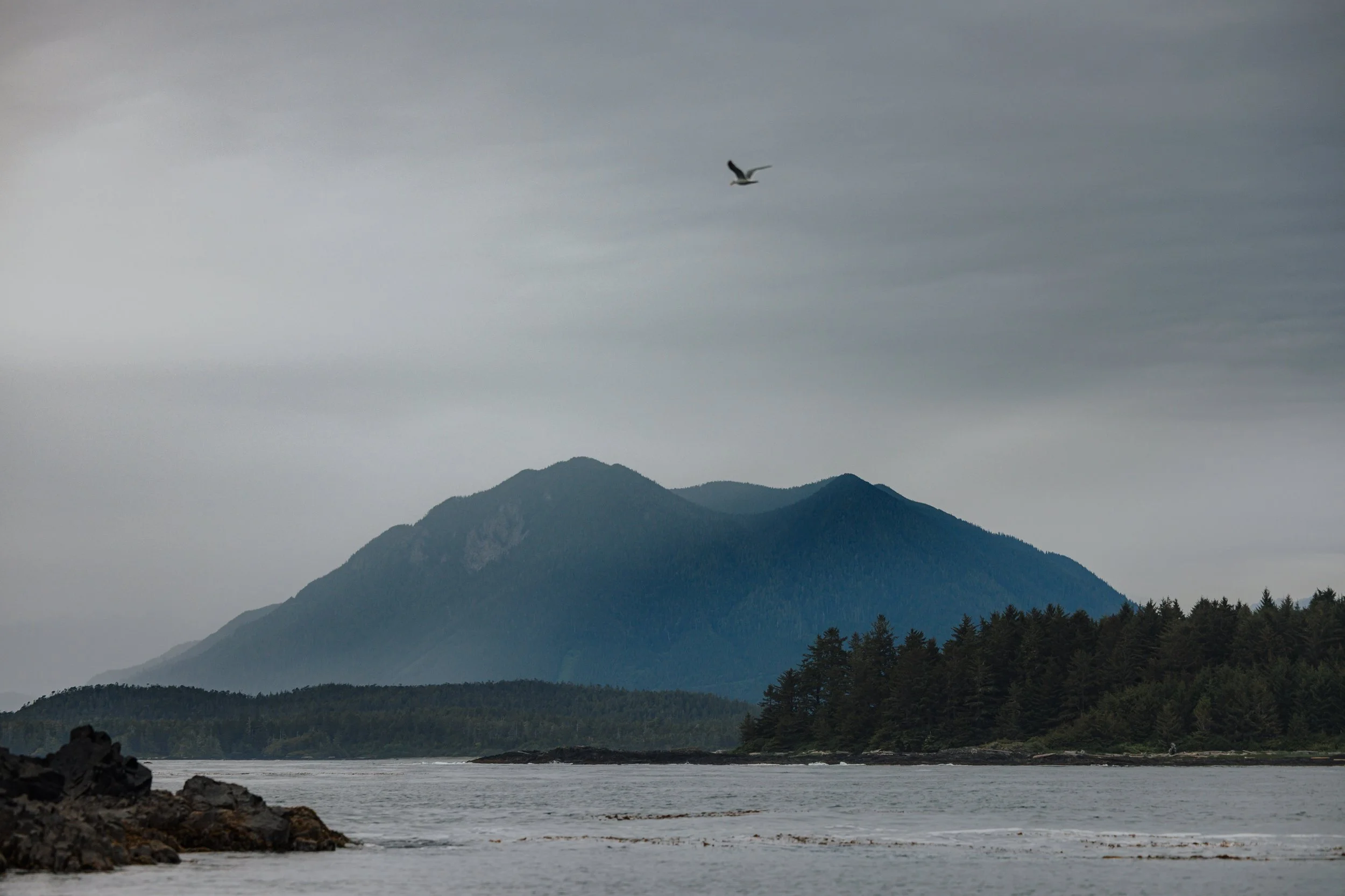 Tofino Helicopter Elopement, Tofino Wedding Photographer, Jen & Brian, 1570.JPG