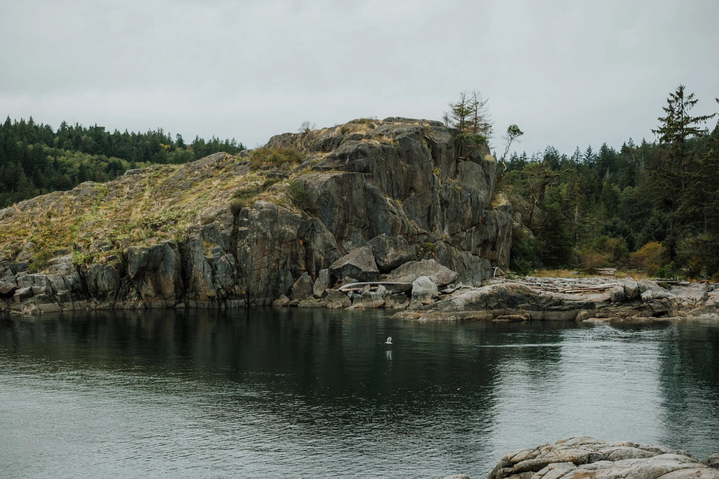 Pointhouse Elopement Photos Sunshine Coast Elopement Photographer, Jen & Brian135.JPG