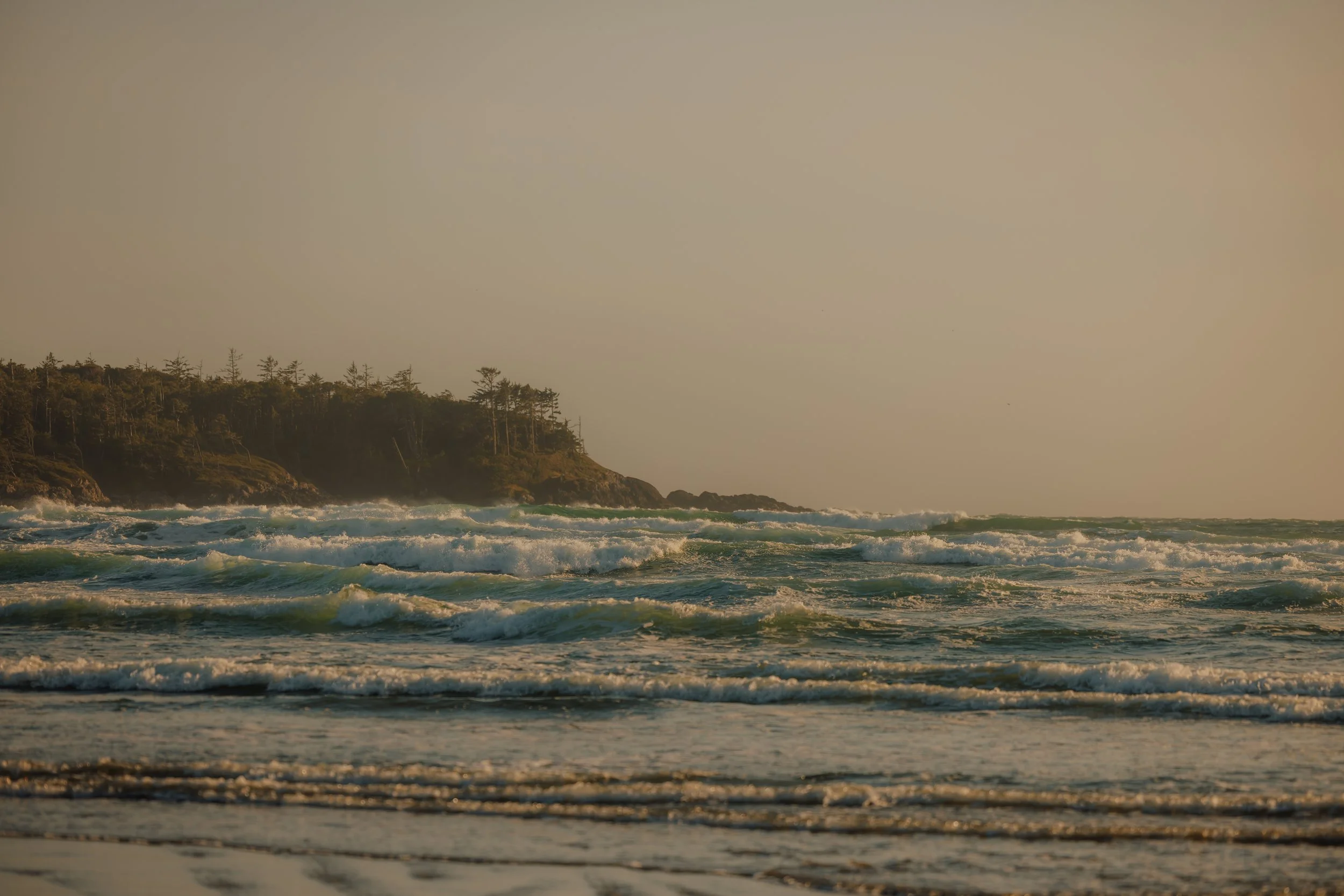 Cox Bay Beach and Pettinger Point Golden Hour Elopement, Tofino Wedding Photographer, Jen & Brian, 1623.JPG