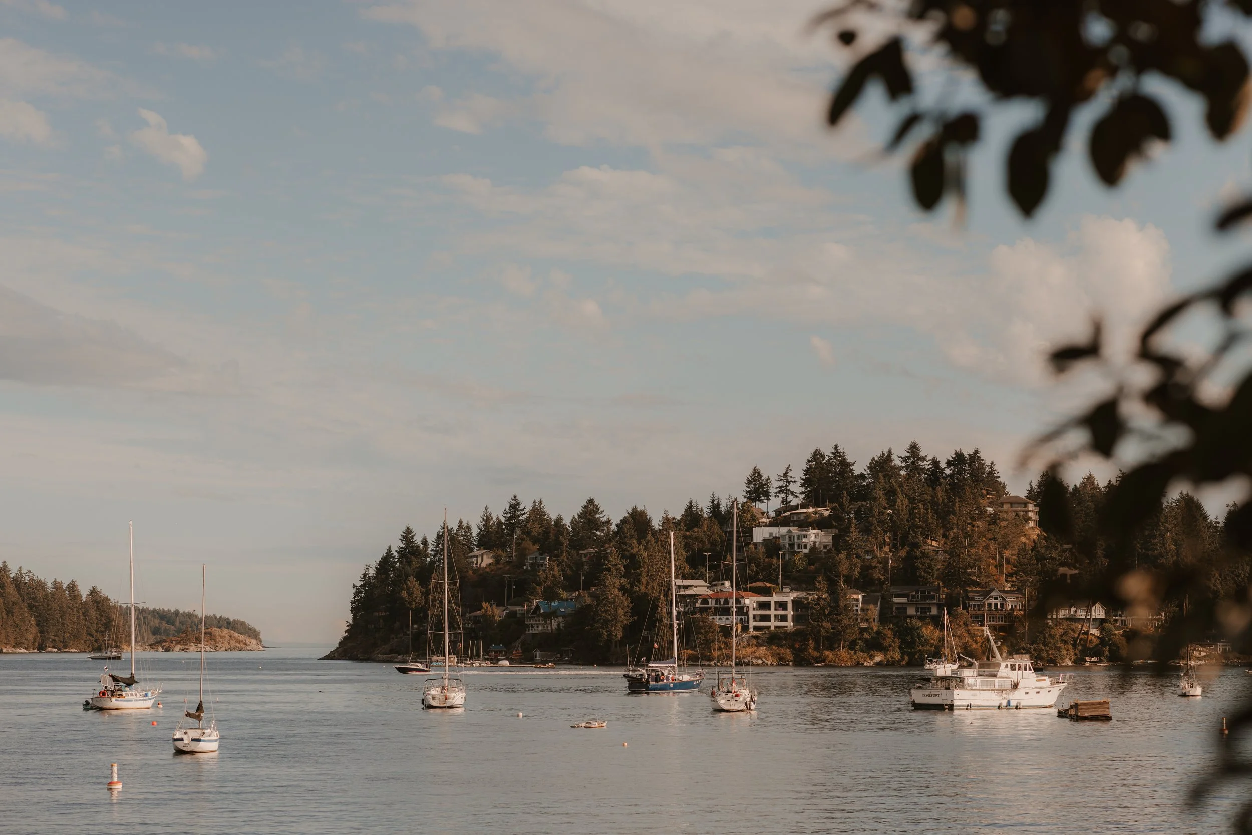 Gibsons Beach Golden Hour Engagement  Photos, Sunshine Coast Wedding Photographer,  Jen & Brian 274.JPG