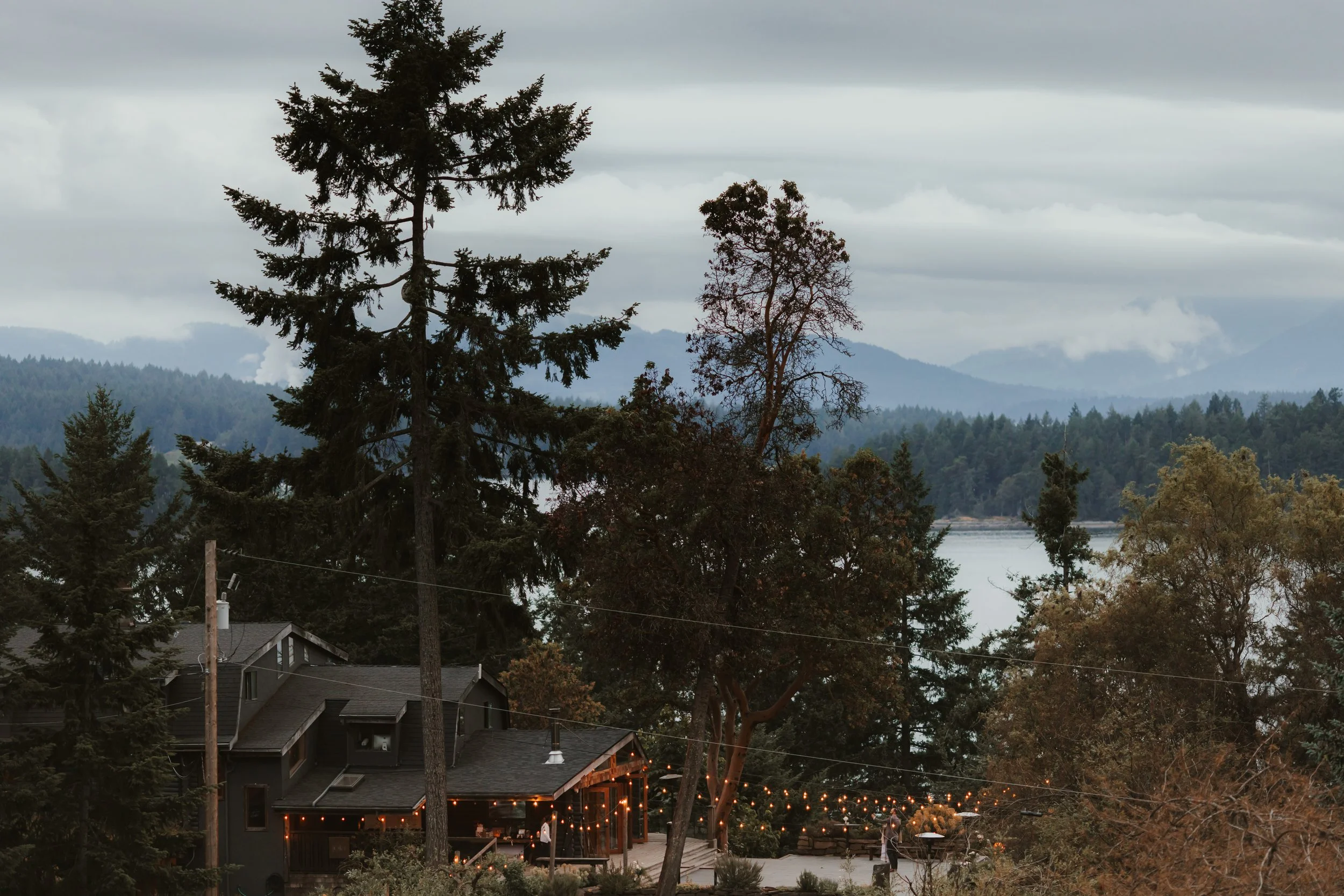 Bodega Ridge Wedding on Galiano Island, BC Elopement Photographer, Jen & Brian, 1816.JPG