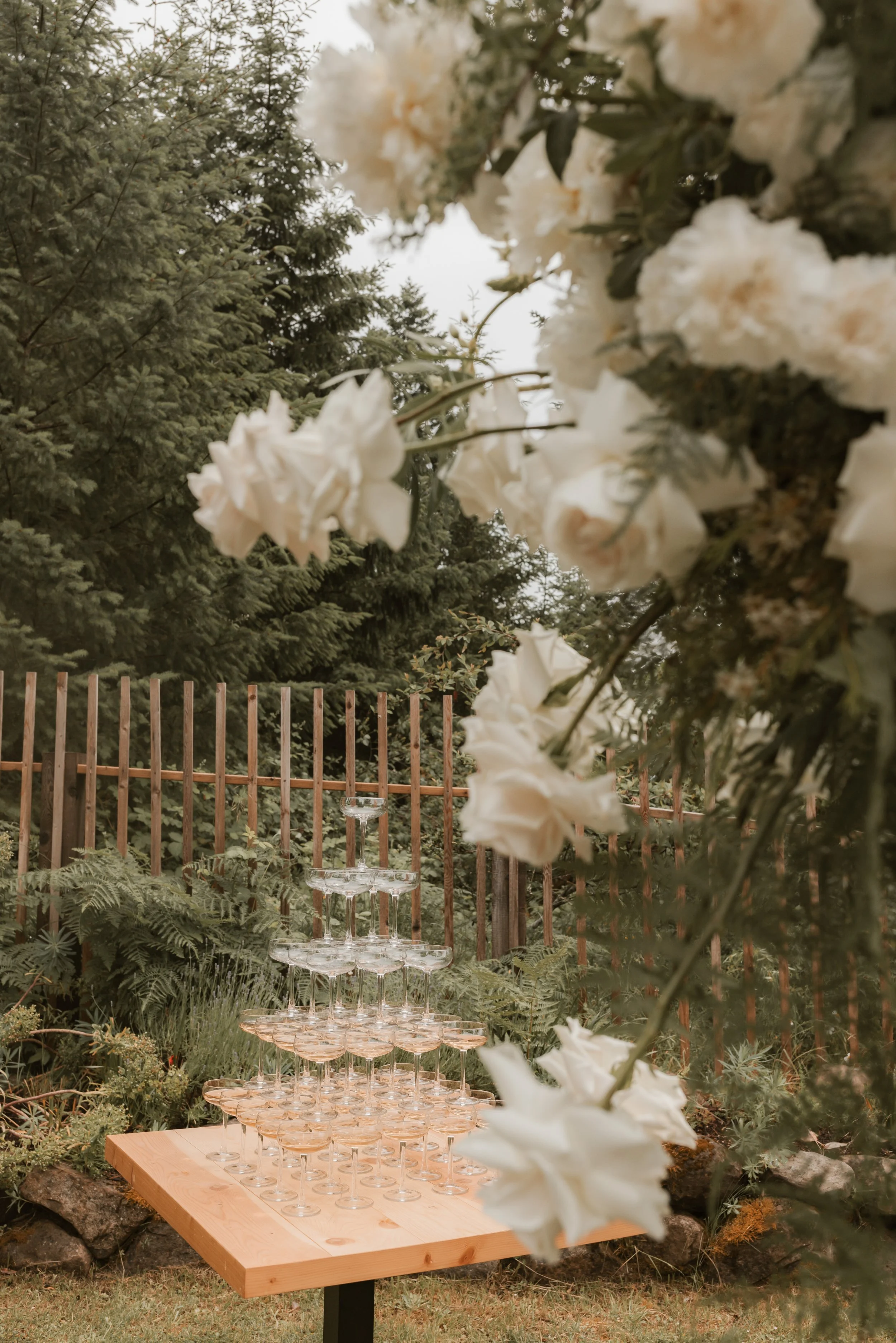 Bodega Ridge Wedding on Galiano Island, BC Elopement Photographer, Jen & Brian, 1721.JPG