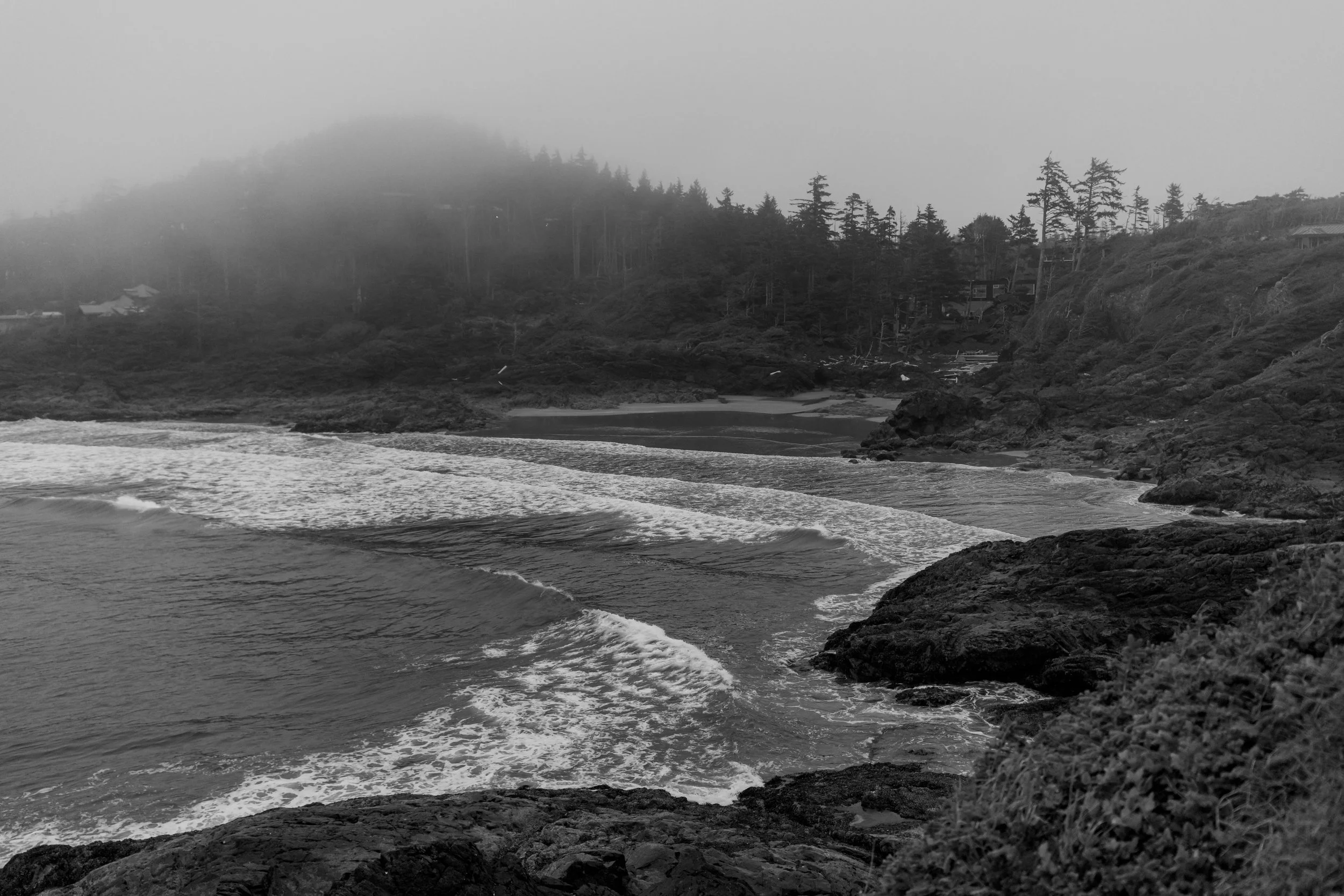 Tofino Wedding Photographer, Long Beach Lodge Wedding, 189.JPG