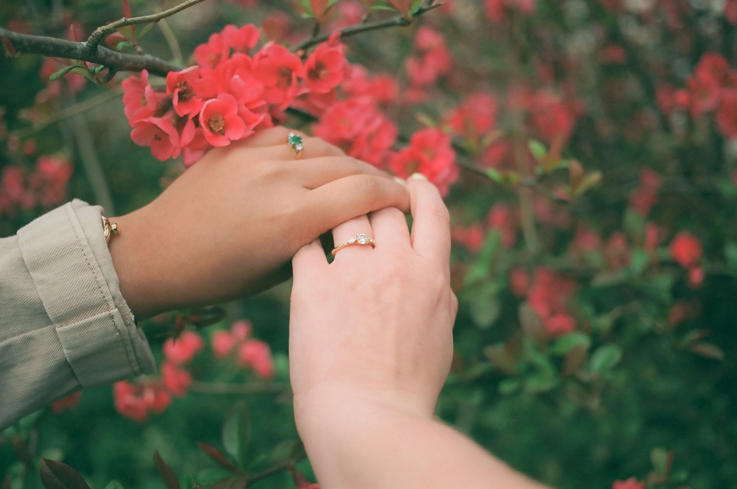 Amber + Aimer Film,  Jen + Brian Photo & Film, 018.JPG