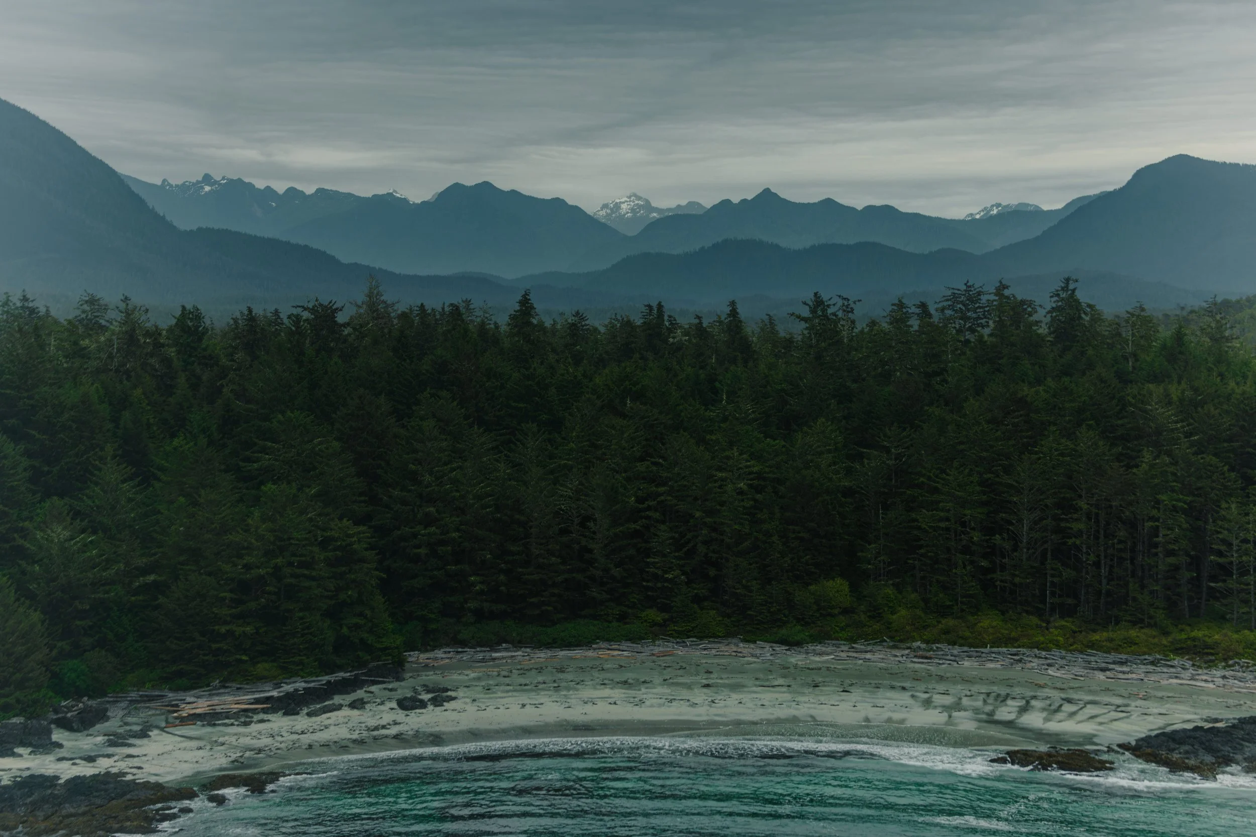 Tofino Helicopter Elopement, Tofino Wedding Photographer, Jen & Brian, 1583.JPG