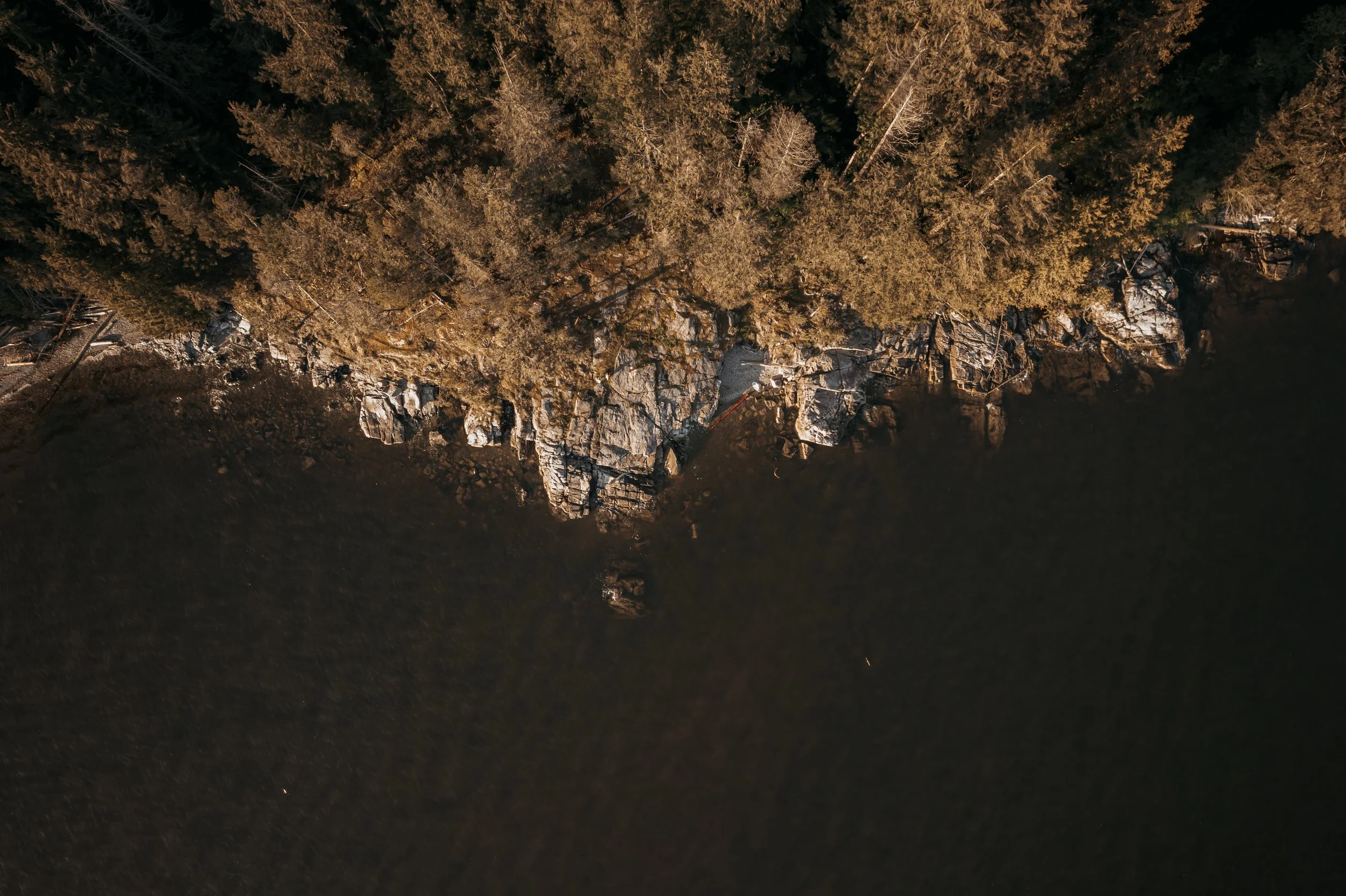 Sunshine Coast Engagement Photographer, BC Elopement Packages, Jen & Brian, 155.JPG