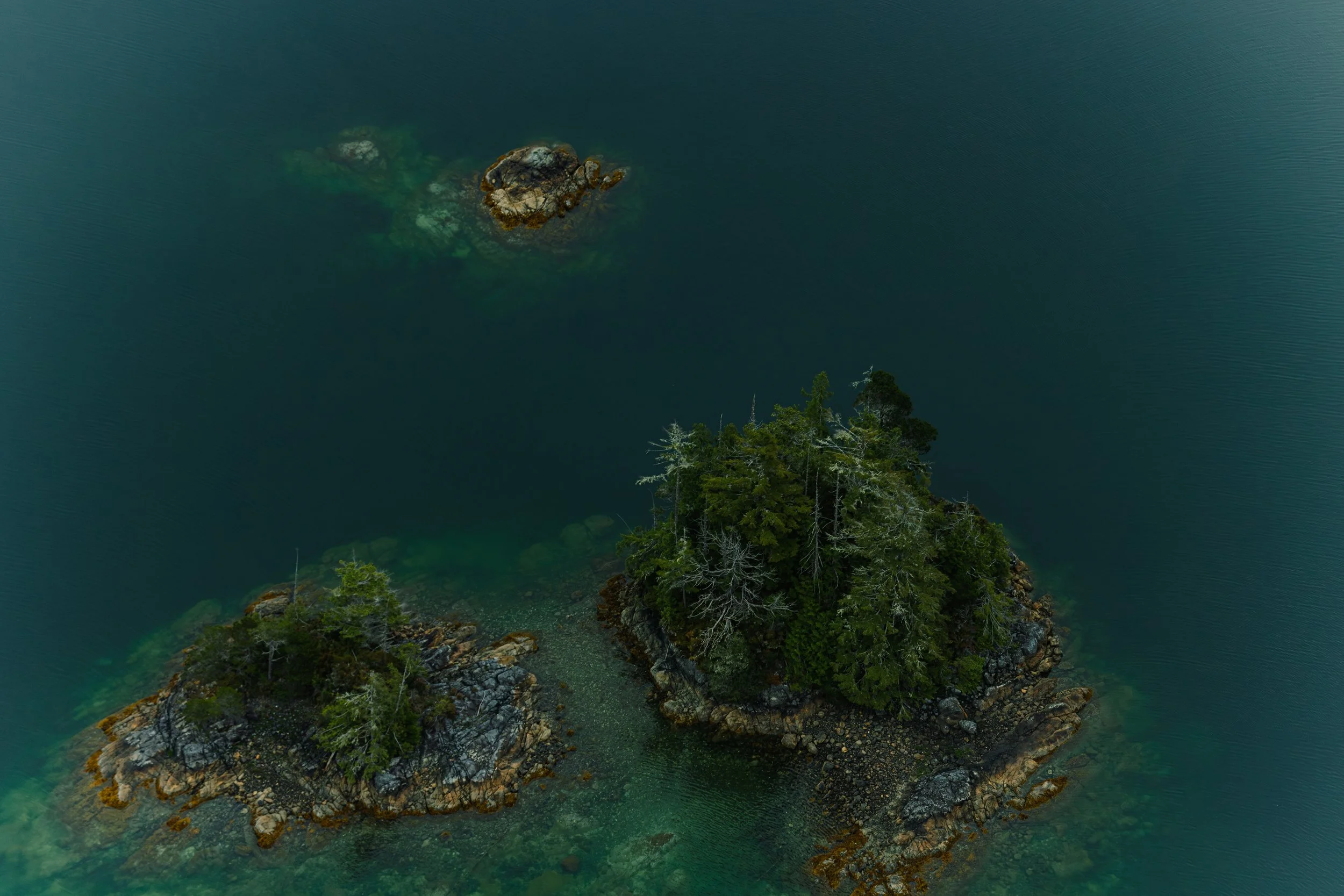 Tofino Helicopter Elopement, Tofino Wedding Photographer, Jen & Brian, 1587.JPG