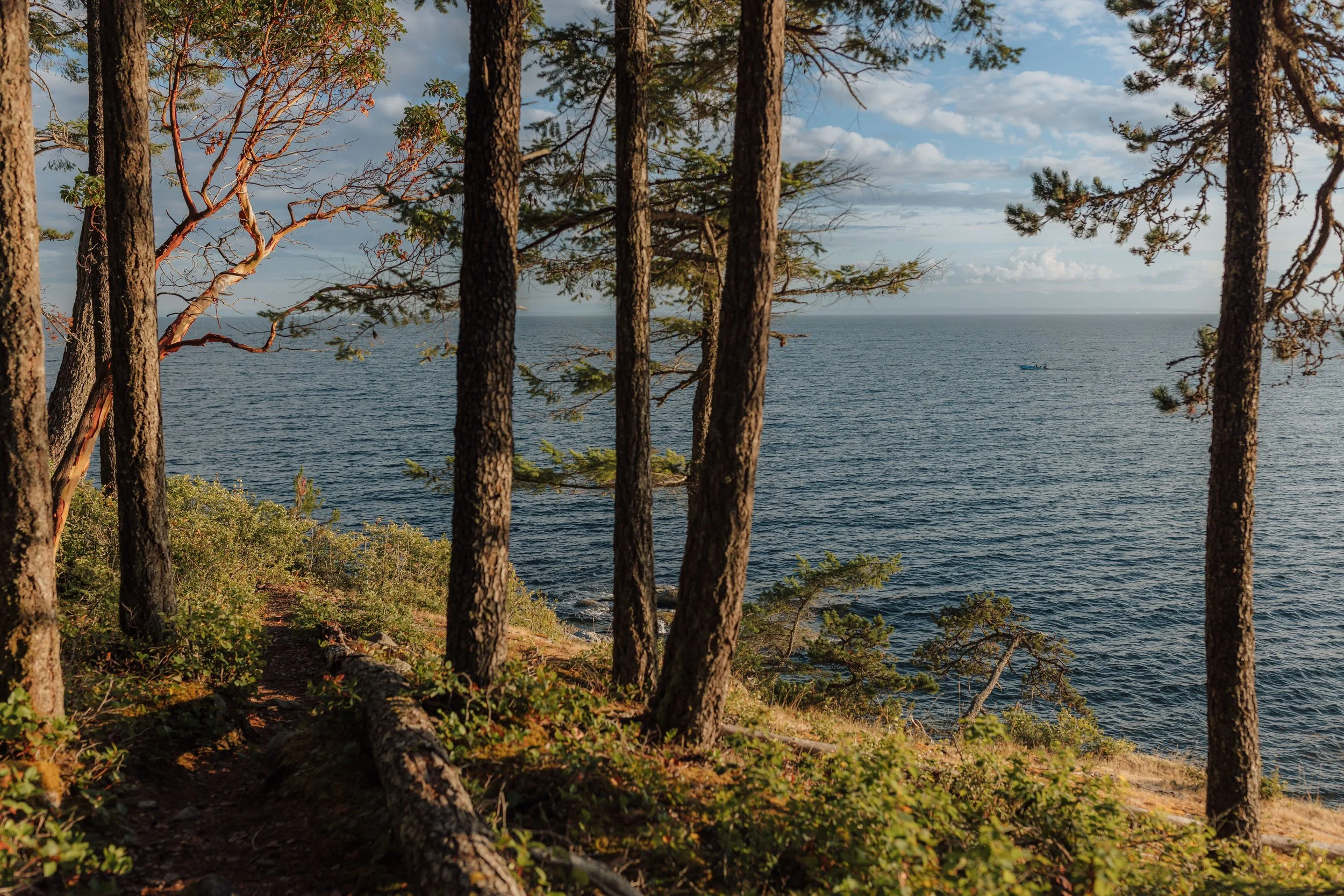 Golden Hour Beach and Cliffside Sunshine Coast Elopement, Sunshine Coast Elopement Packages, Jen & Brian, 2110.JPG