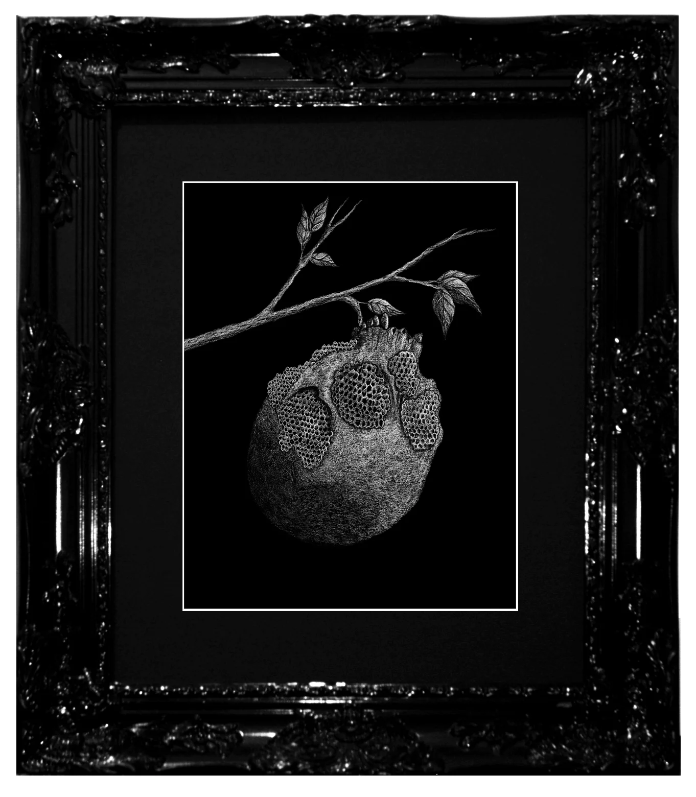 Dylan Garrett Smith Honey's Rot XVX framed.jpg