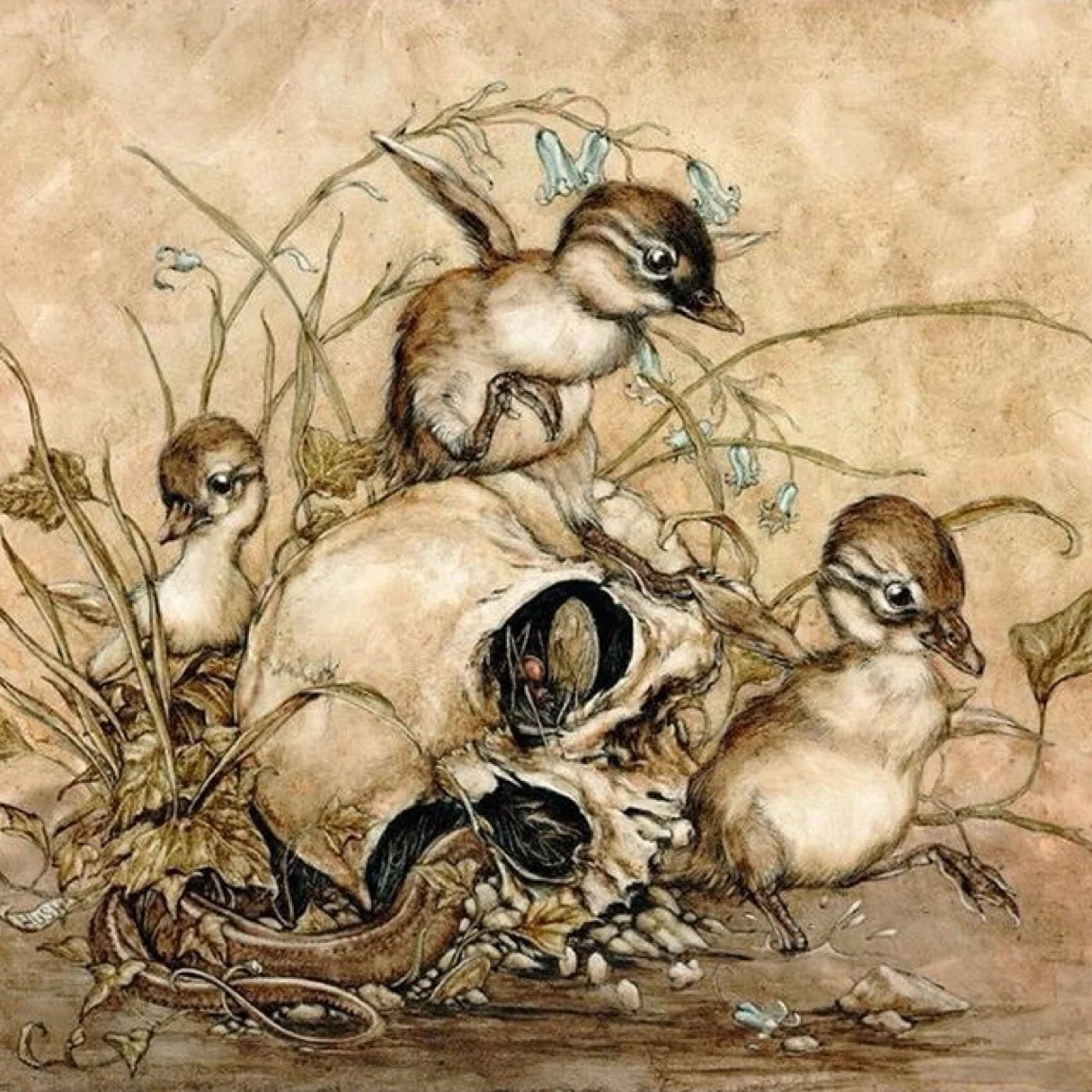 "Memento Mori" by Jeremy Hush