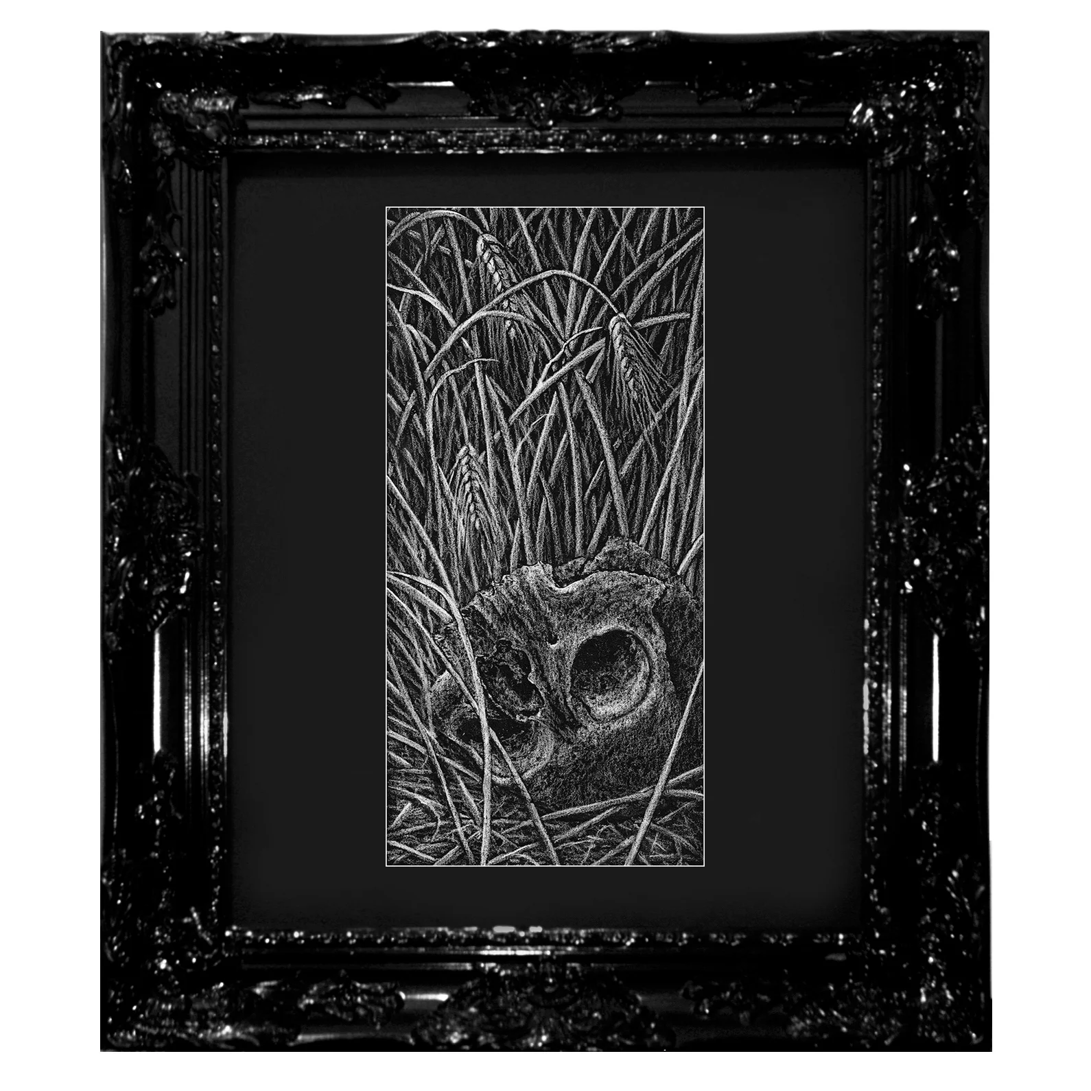 "The Harvest"