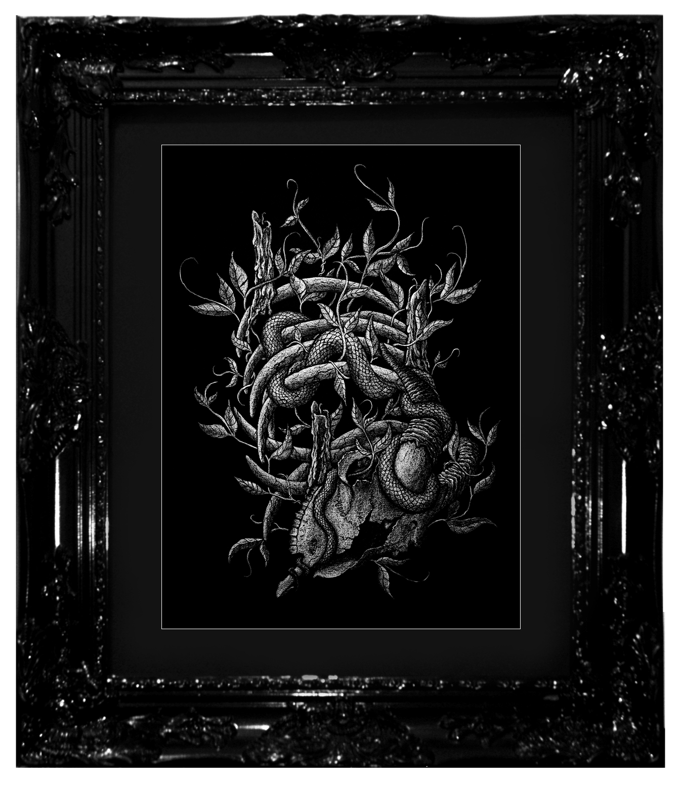 "The Blind-Worm's Sting", 2017 Ashes, chalk-lead and ink on black cotton-rag paper 16x20", 18x24" framed Contact Last Rites Gallery for purchasing information