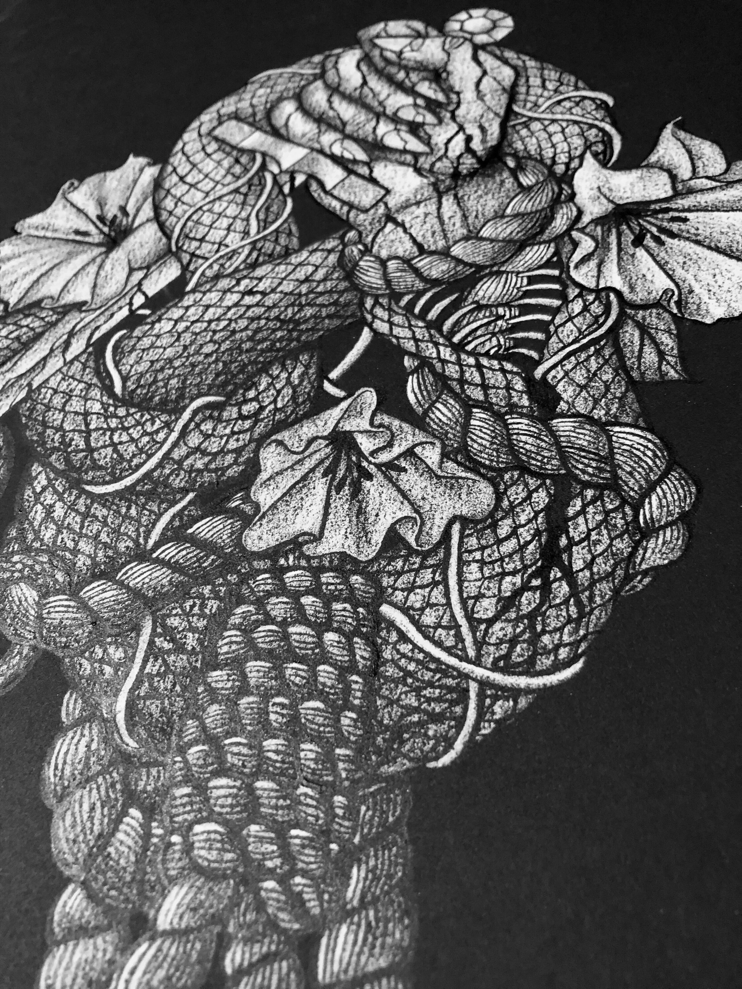 DGS Serpent of the Sicklemoon.jpg