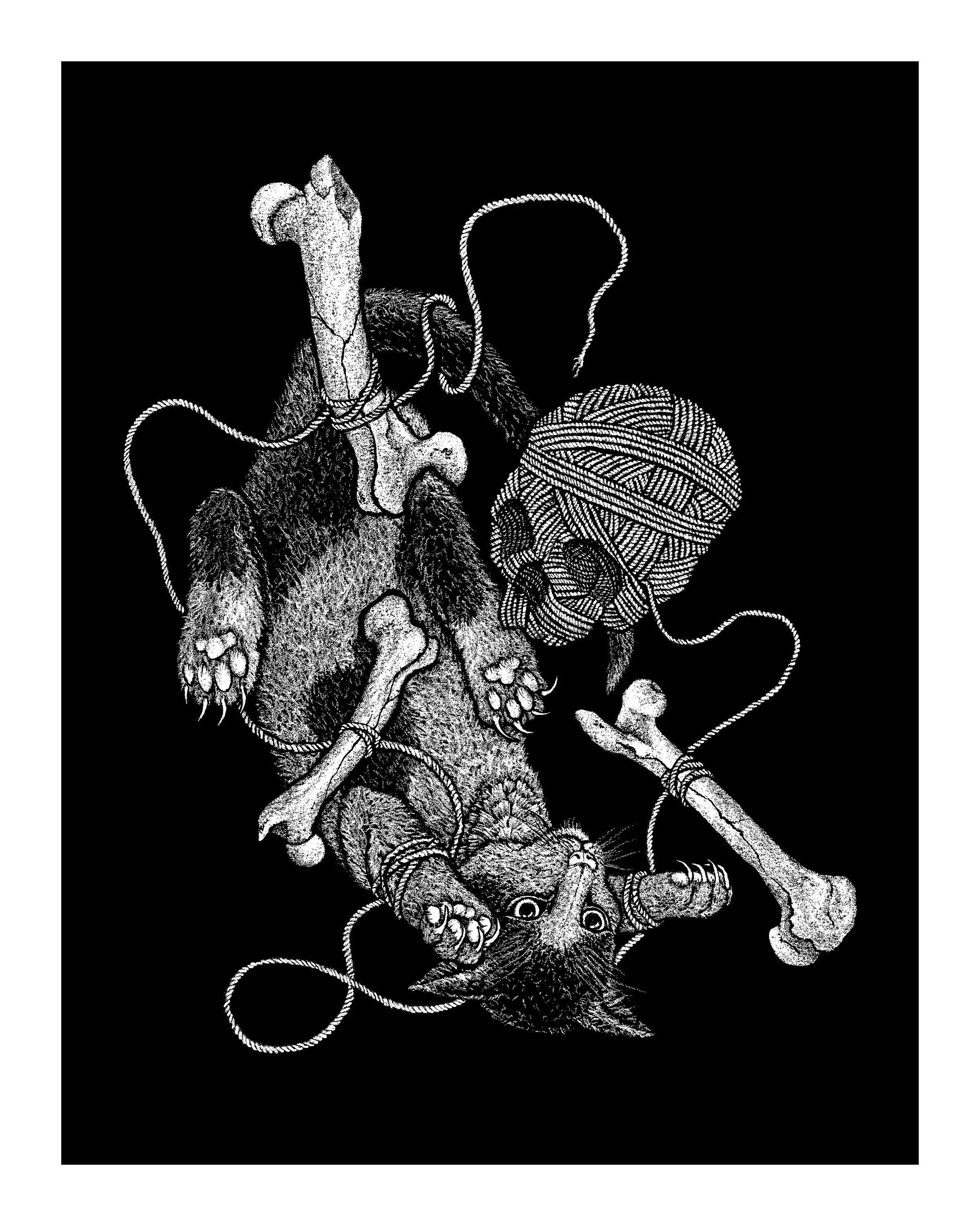 DGS Armageddon 8x10.jpg