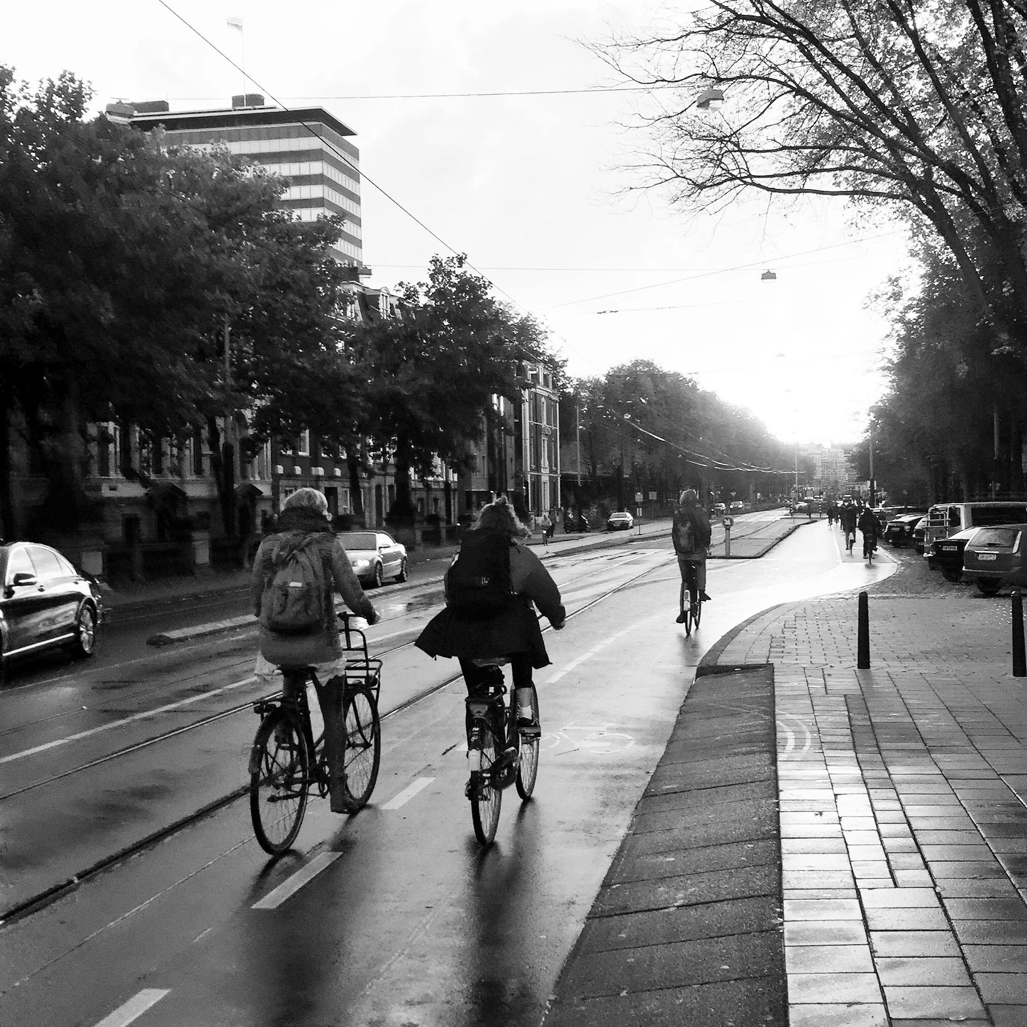 Bike everywhere, everyday