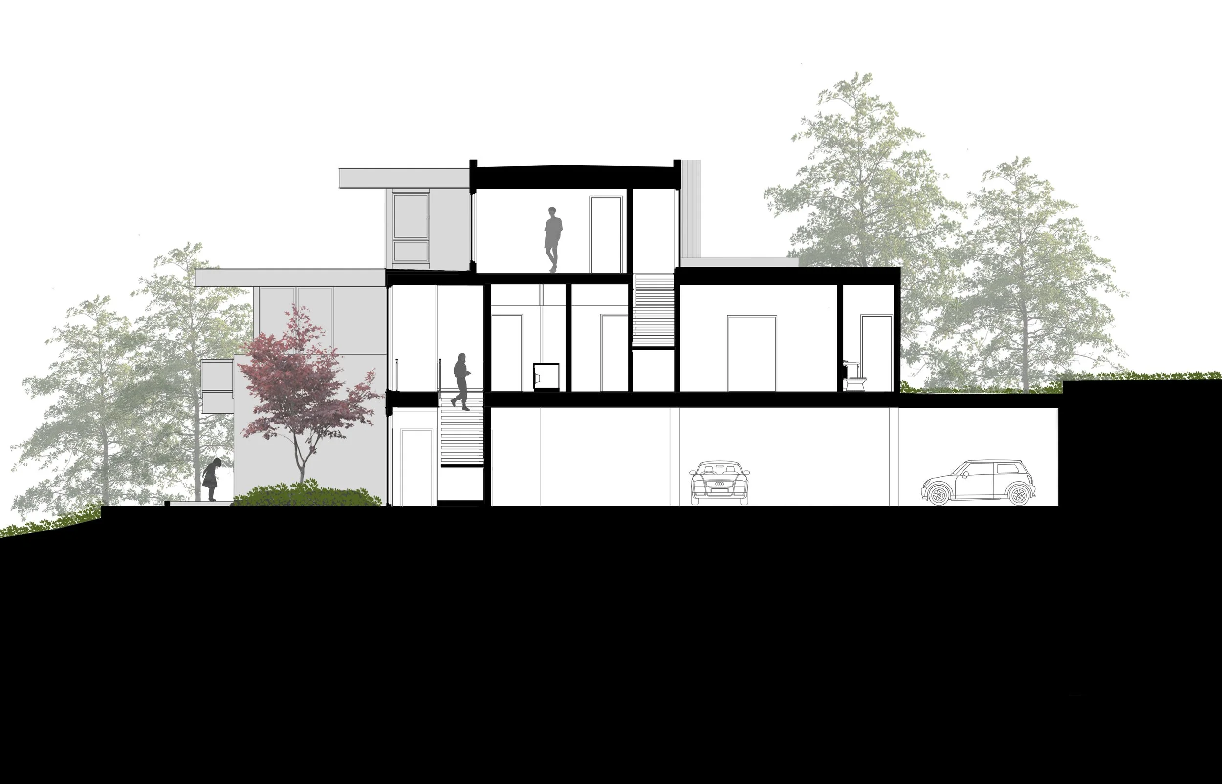 8020 SE 57th St Mercer Island_section.jpg