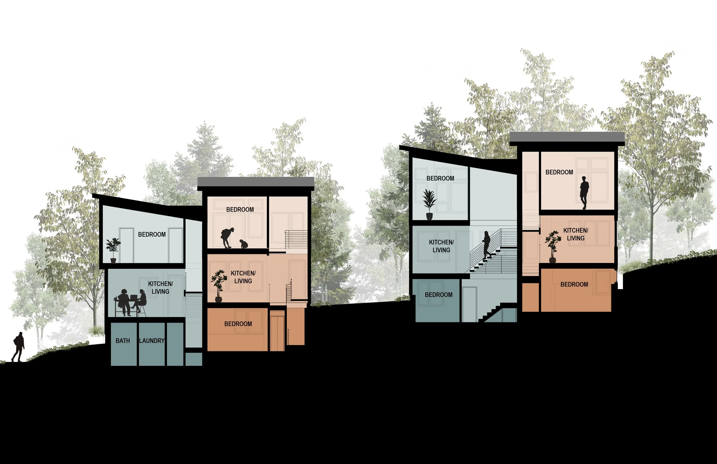 2024.10.29_Jungle SIte Section.jpg