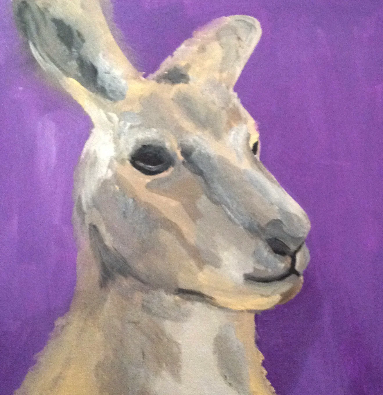 daniella kangaroo.jpg